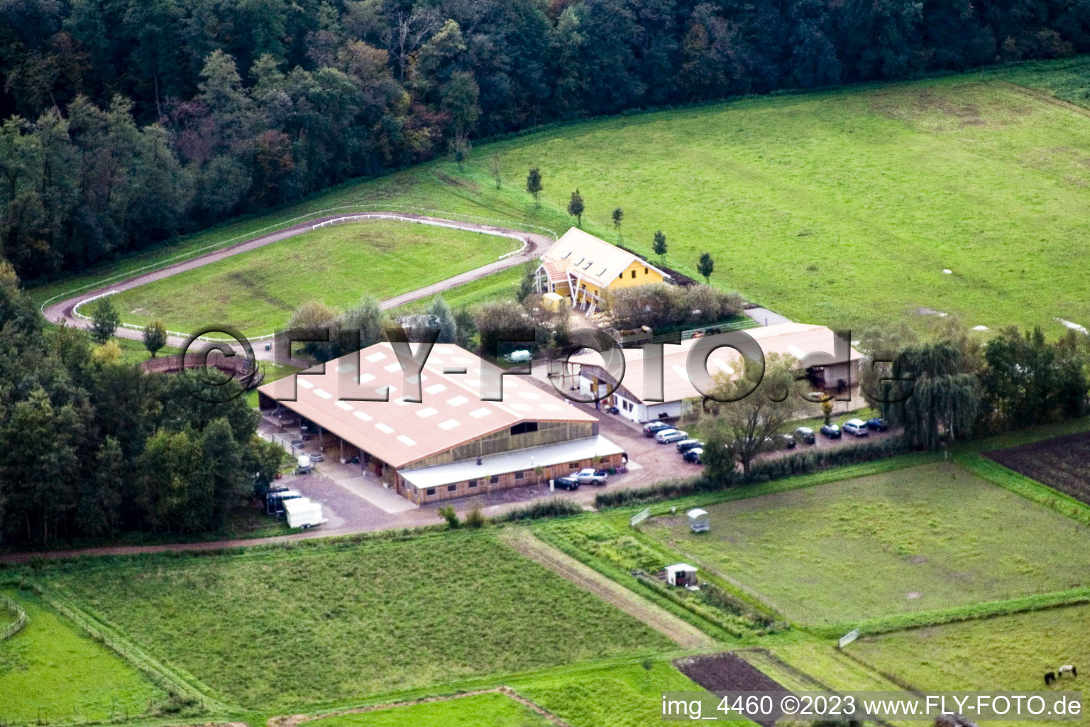 Aerial view of Icelandic horse stud Bienwald in Freckenfeld in the state Rhineland-Palatinate, Germany