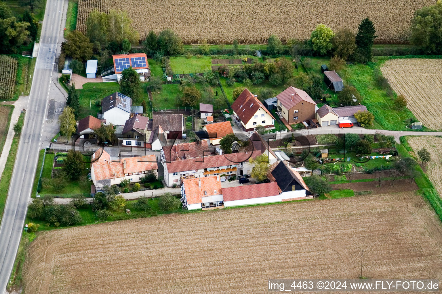 Oblique view of Welschhof in Minfeld in the state Rhineland-Palatinate, Germany