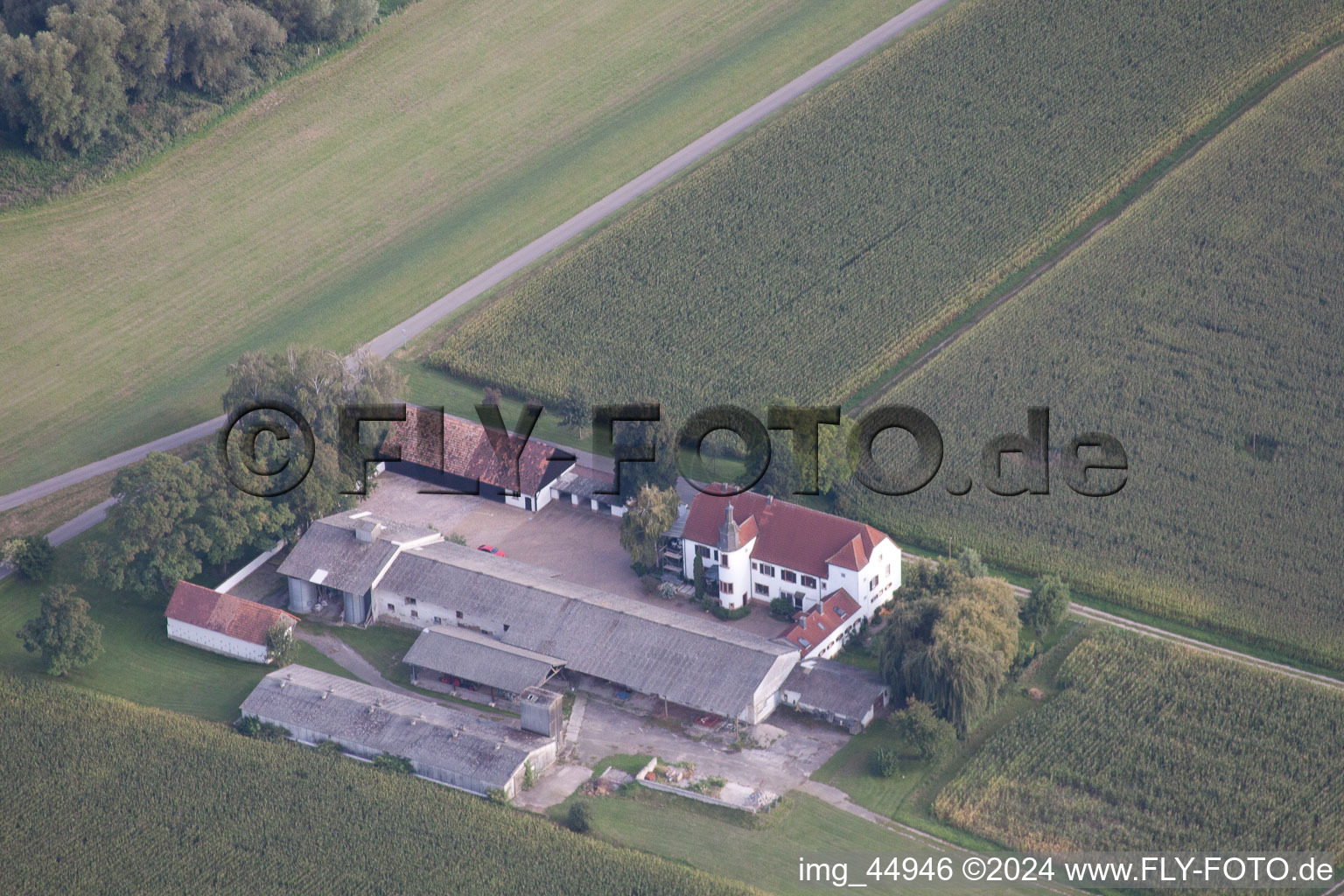 Hofgut Ludwigsau in the district Maximiliansau in Wörth am Rhein in the state Rhineland-Palatinate, Germany