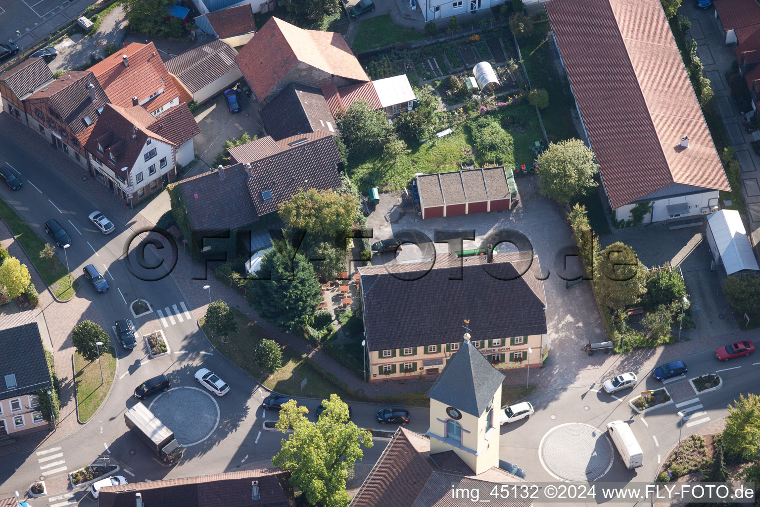 Green tree in the district Langensteinbach in Karlsbad in the state Baden-Wuerttemberg, Germany