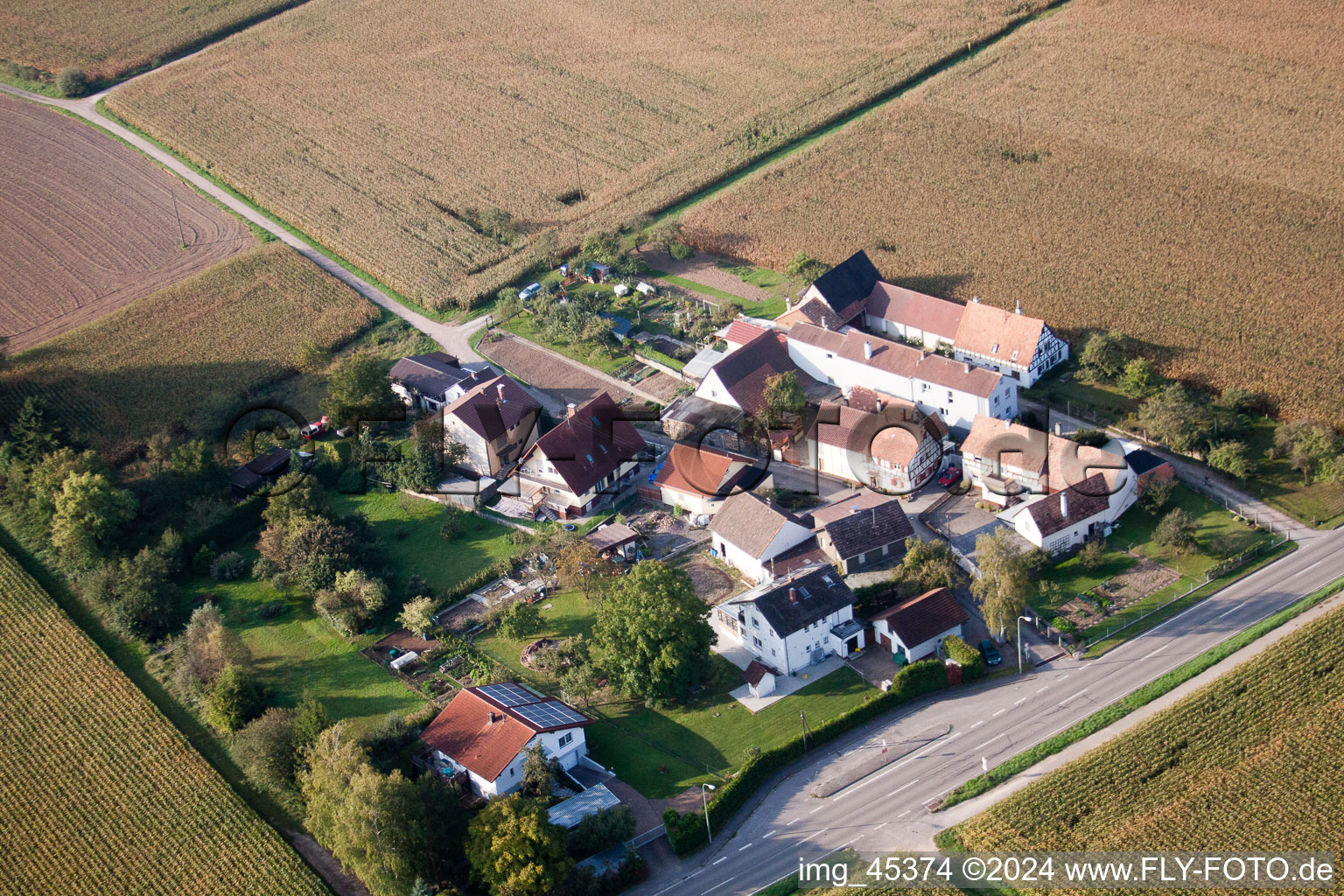 Bird's eye view of Minfeld in the state Rhineland-Palatinate, Germany