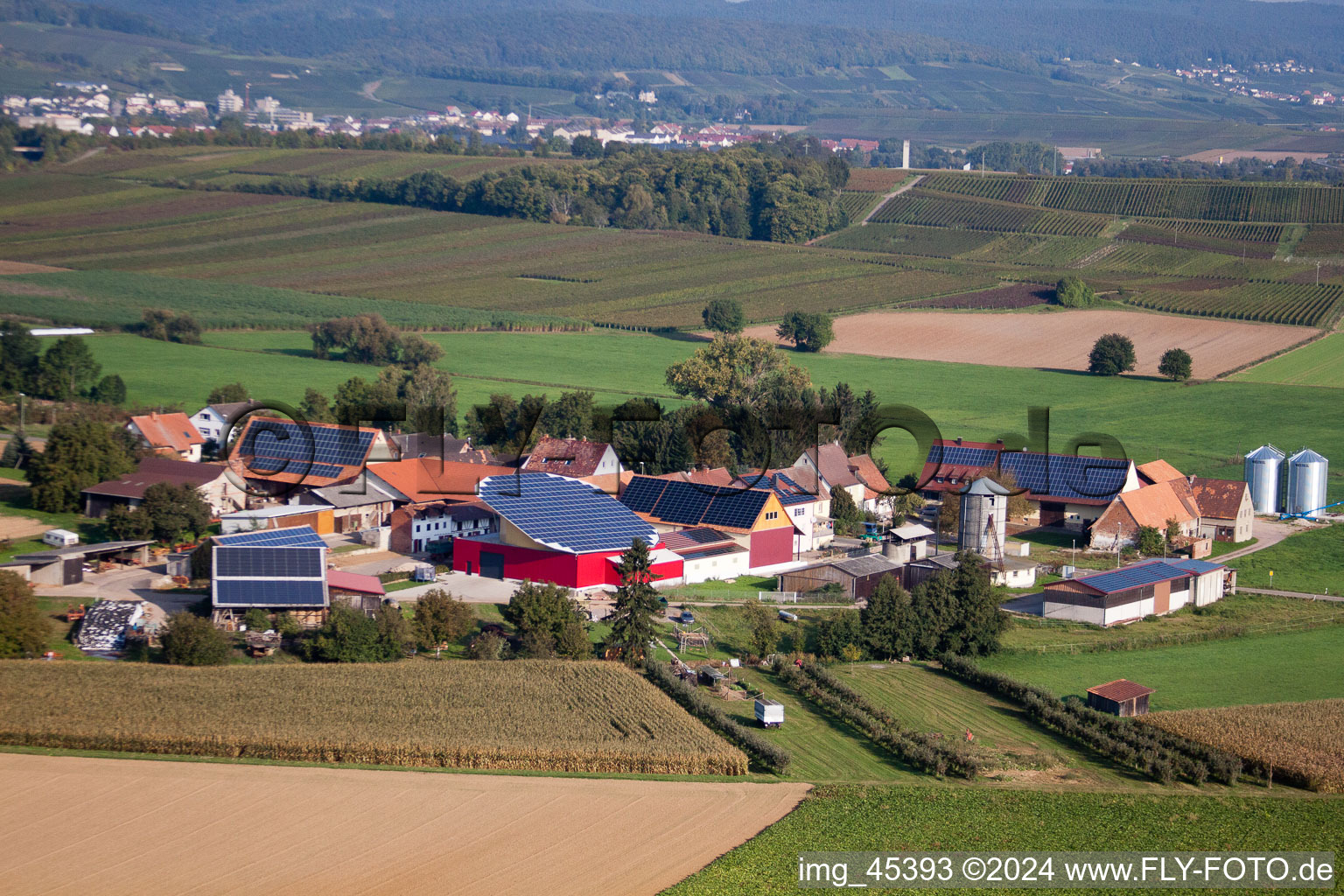 Deutschhof in the state Rhineland-Palatinate, Germany seen from a drone