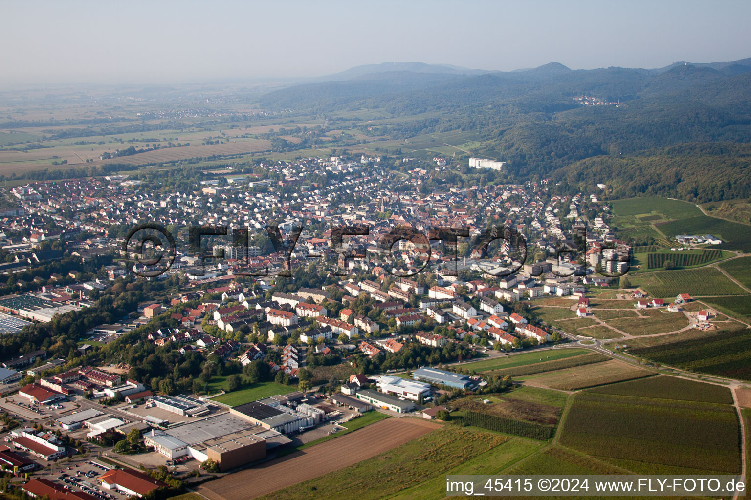 Bird's eye view of Bad Bergzabern in the state Rhineland-Palatinate, Germany