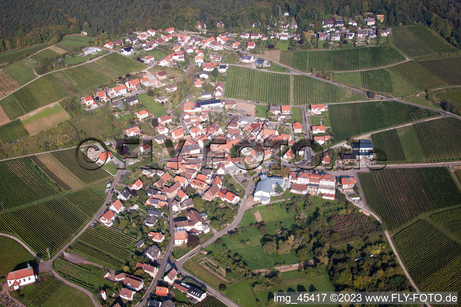 District Gleiszellen in Gleiszellen-Gleishorbach in the state Rhineland-Palatinate, Germany out of the air