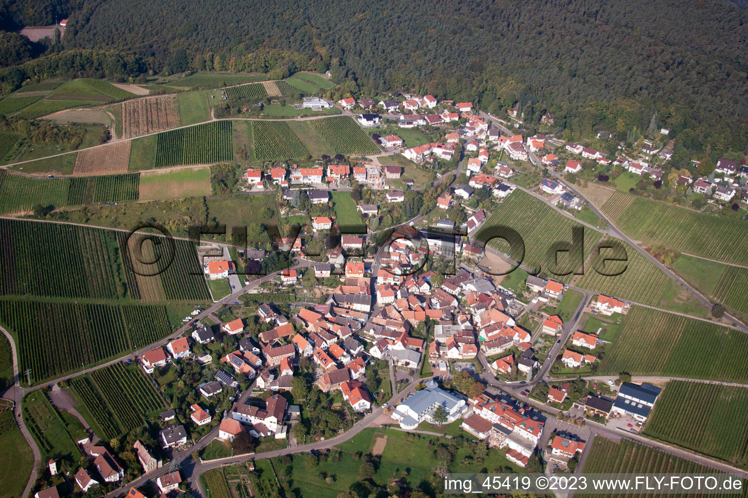 District Gleiszellen in Gleiszellen-Gleishorbach in the state Rhineland-Palatinate, Germany seen from above