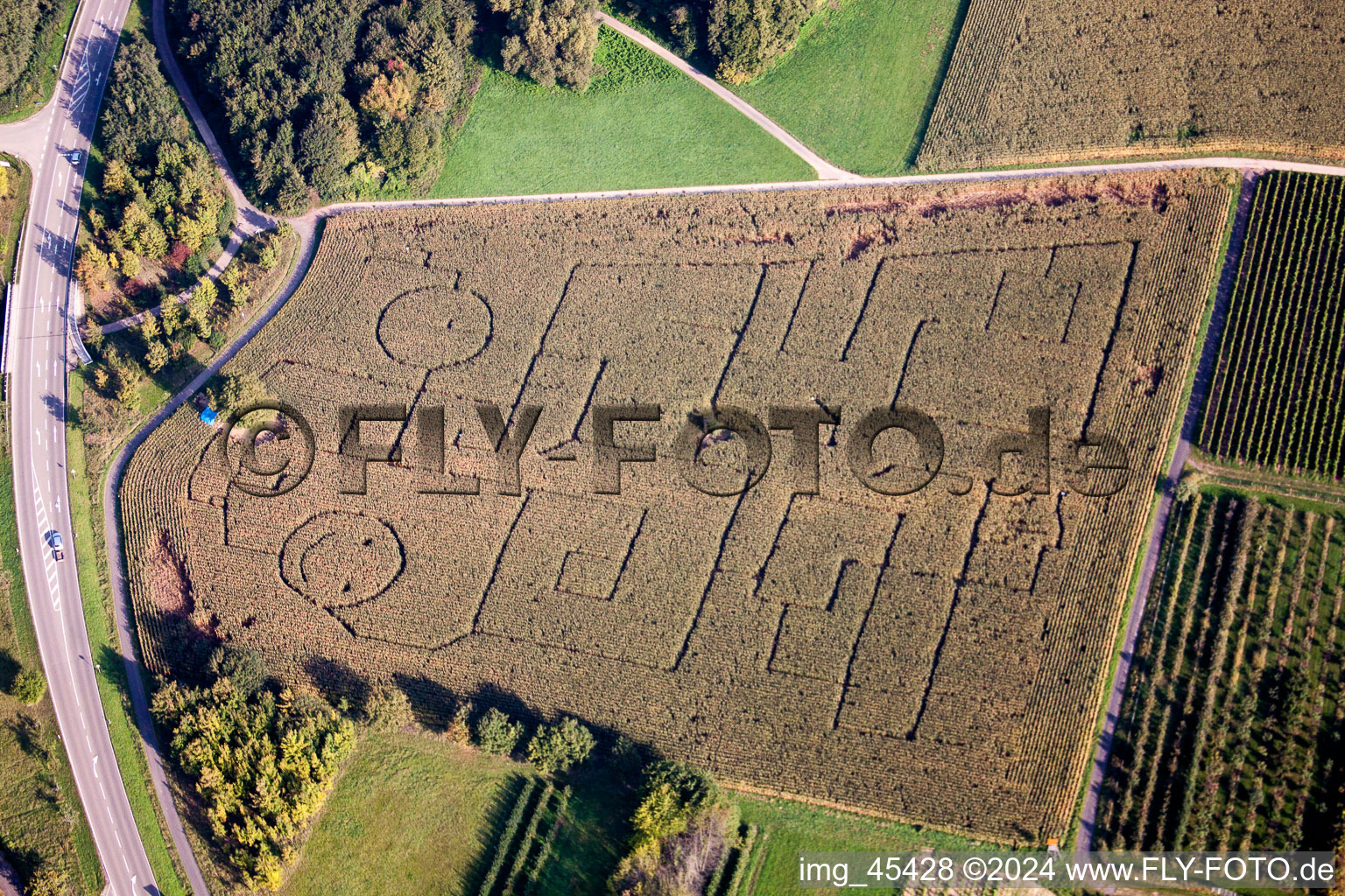 Maze - Labyrinth with the outlines of smileys on a field in Göcklingen in the state Rhineland-Palatinate, Germany