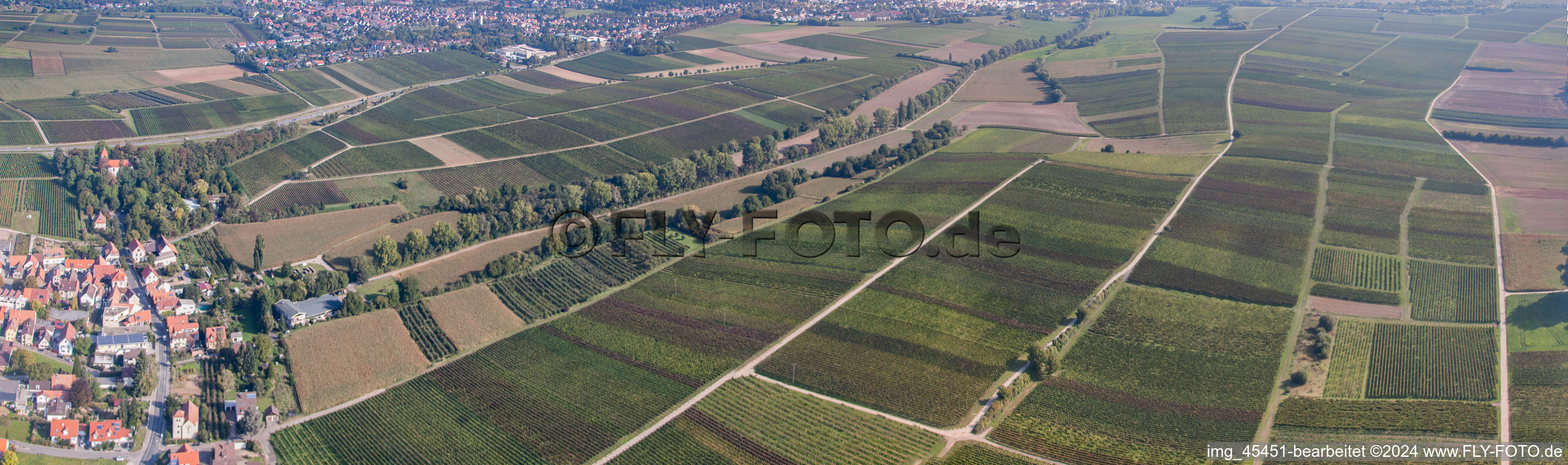 Panorama in the district Mörzheim in Landau in der Pfalz in the state Rhineland-Palatinate, Germany