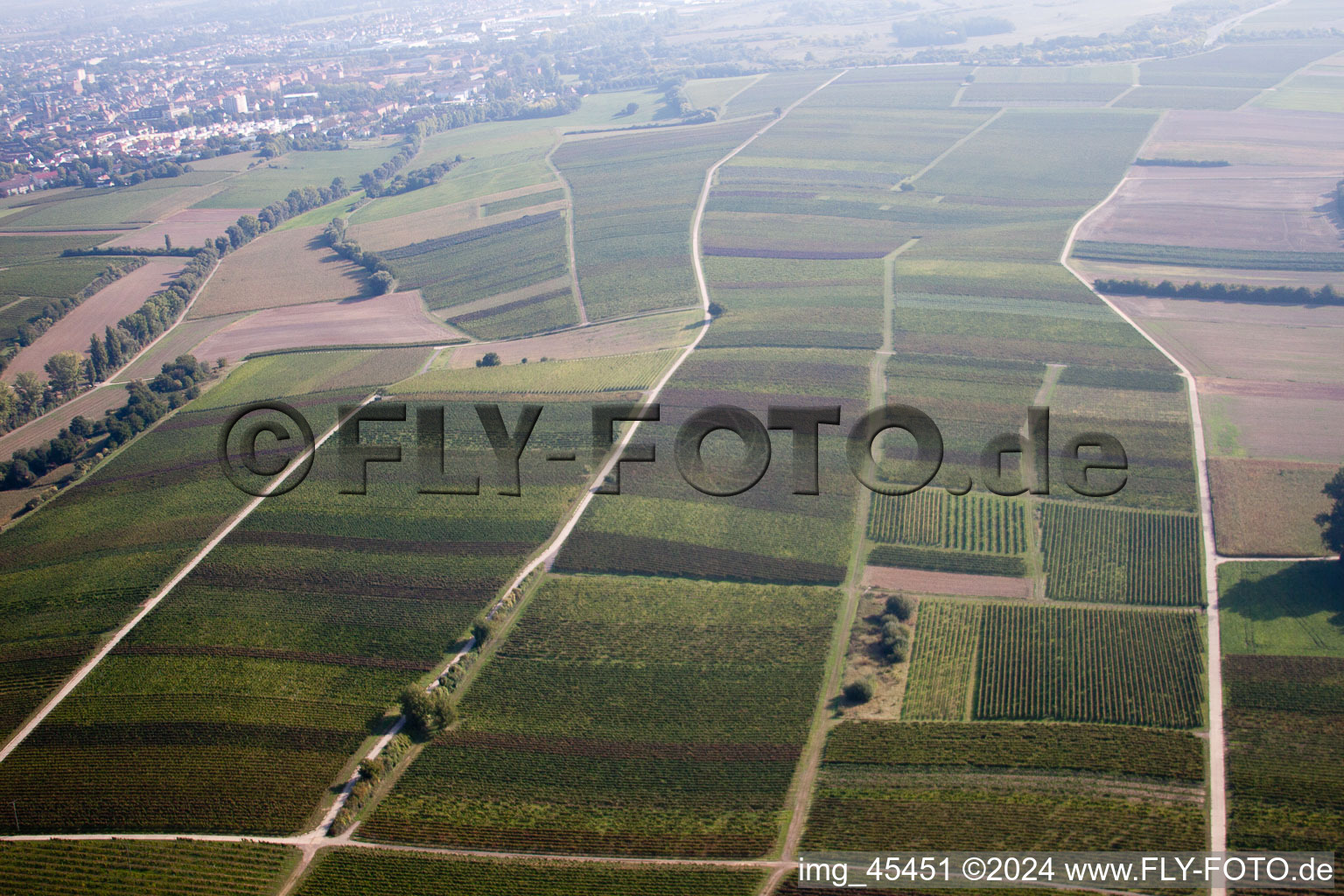 District Mörzheim in Landau in der Pfalz in the state Rhineland-Palatinate, Germany seen from a drone