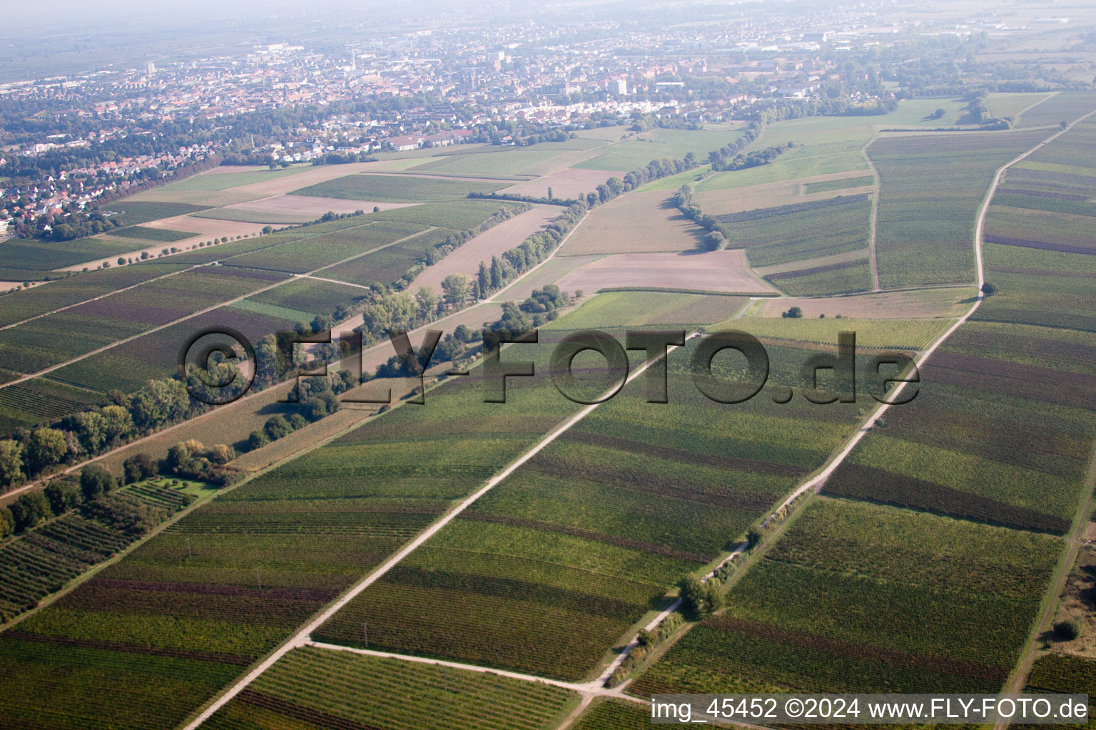 Aerial view of District Mörzheim in Landau in der Pfalz in the state Rhineland-Palatinate, Germany