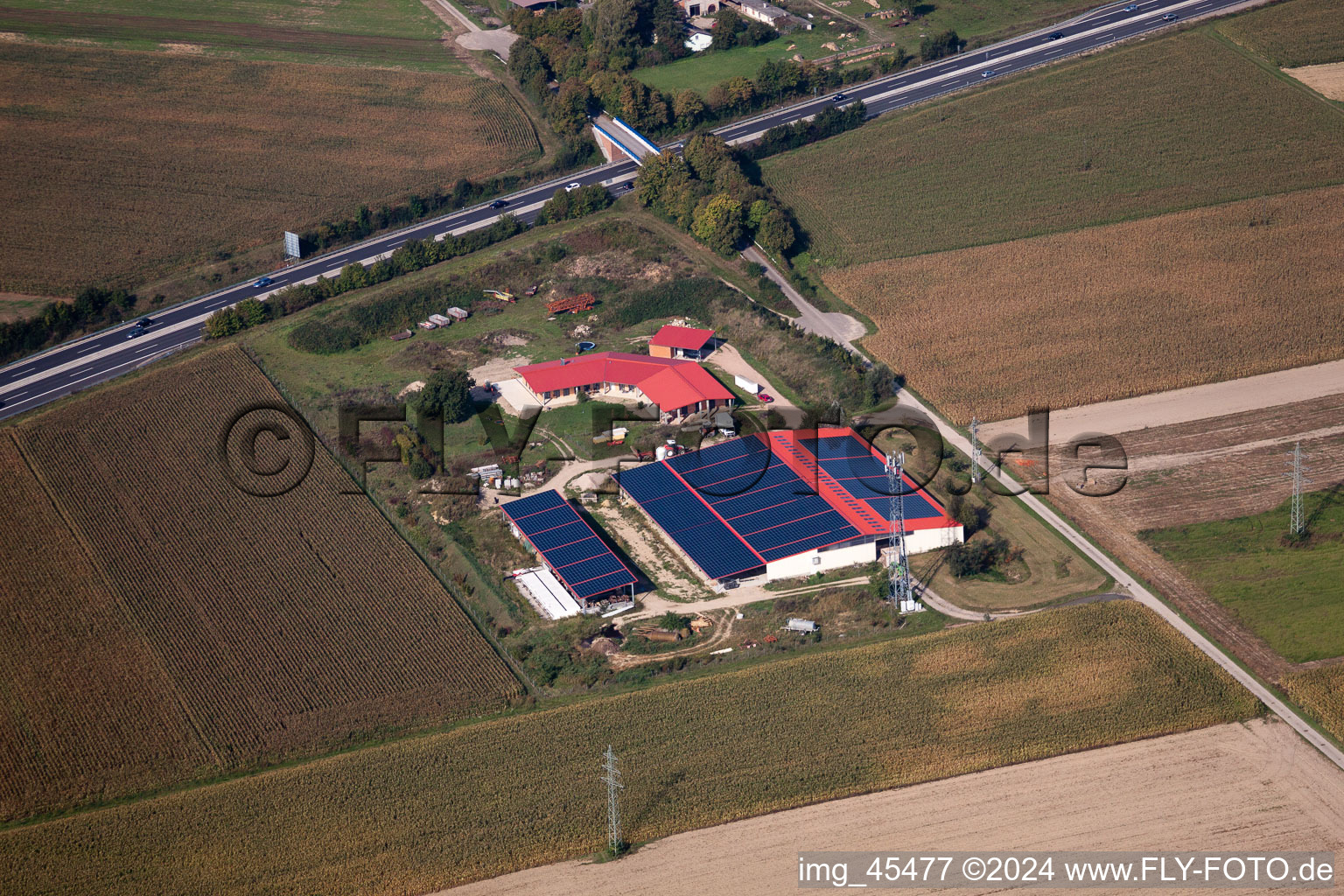 Egg farm in Erlenbach bei Kandel in the state Rhineland-Palatinate, Germany from above