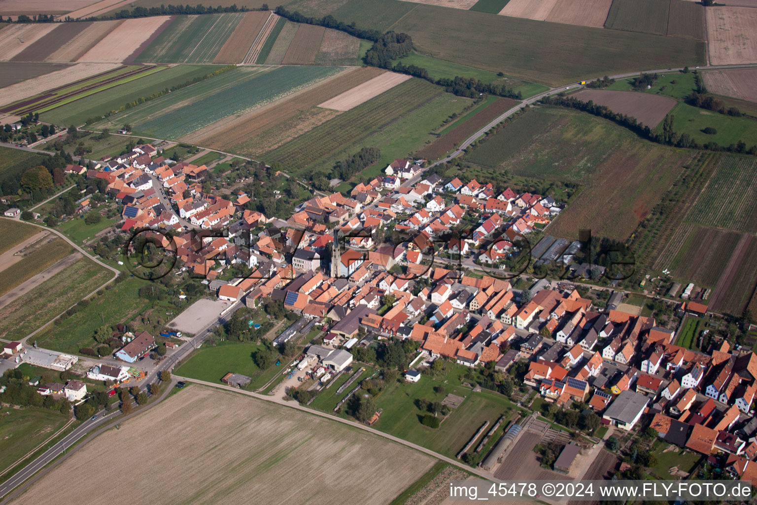 Oblique view of Village view in Erlenbach bei Kandel in the state Rhineland-Palatinate, Germany