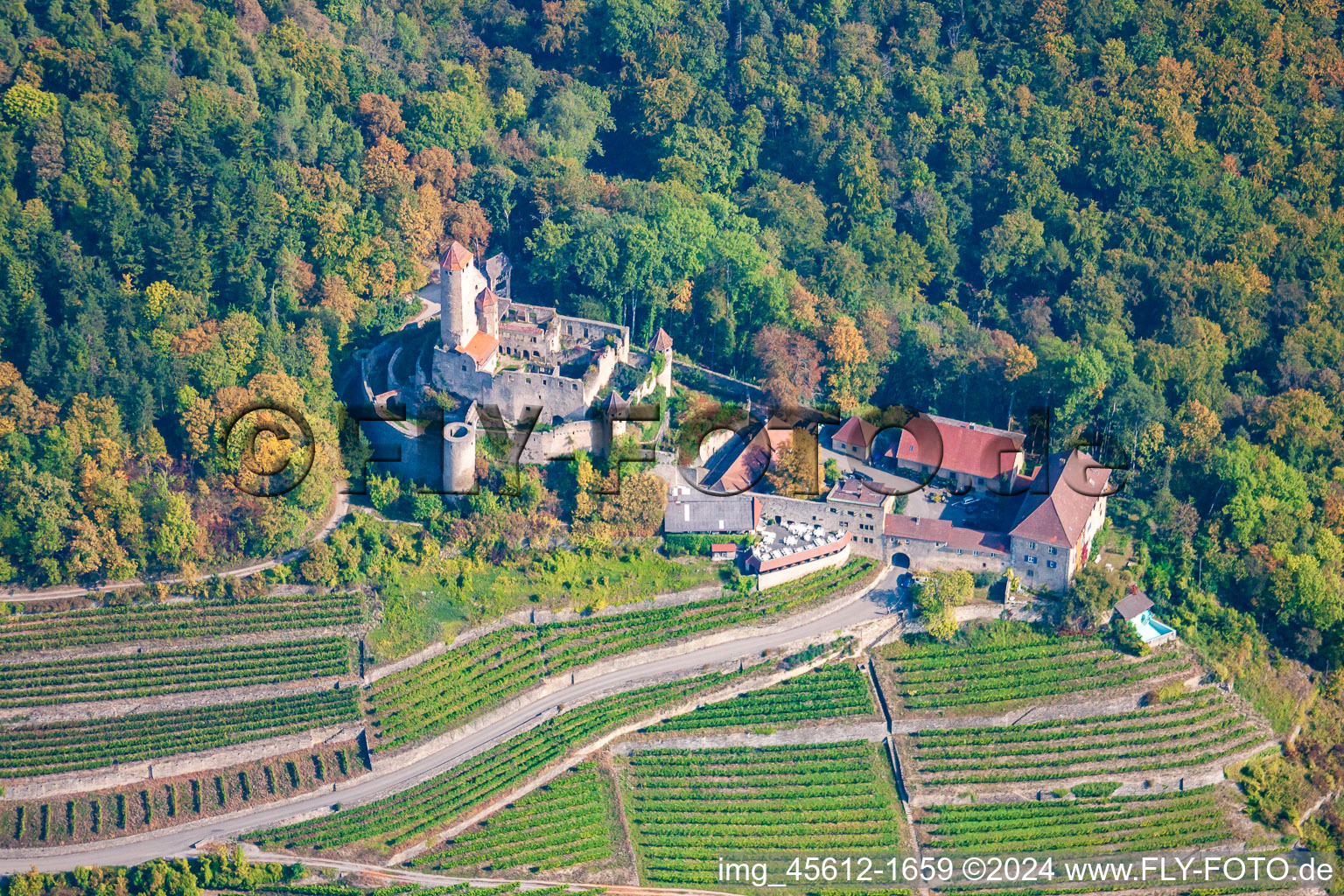 Hornberg Castle at Neckarzimmern in Neckarzimmern in the state Baden-Wuerttemberg, Germany