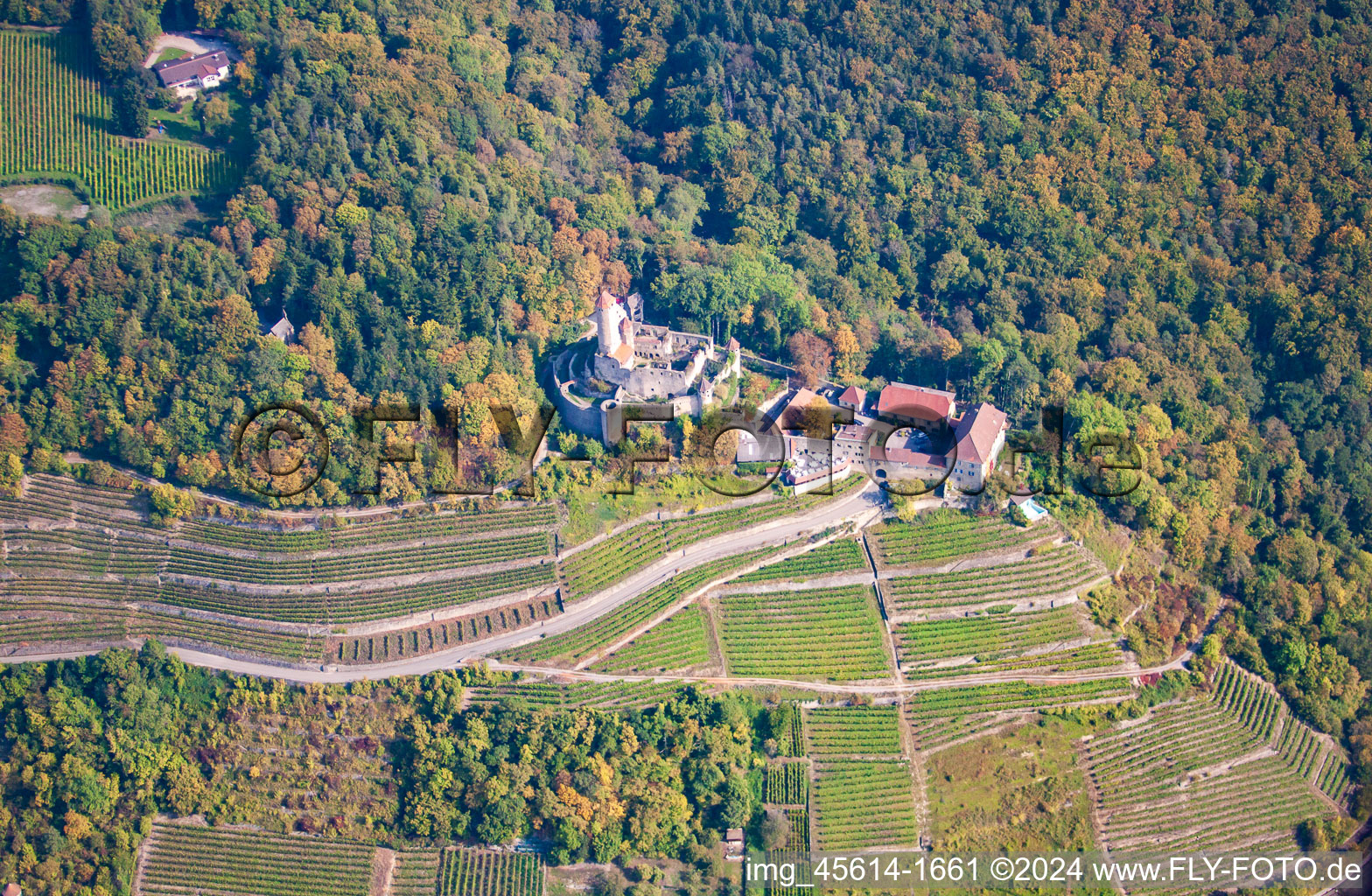 Aerial view of Hornberg Castle at Neckarzimmern in Neckarzimmern in the state Baden-Wuerttemberg, Germany