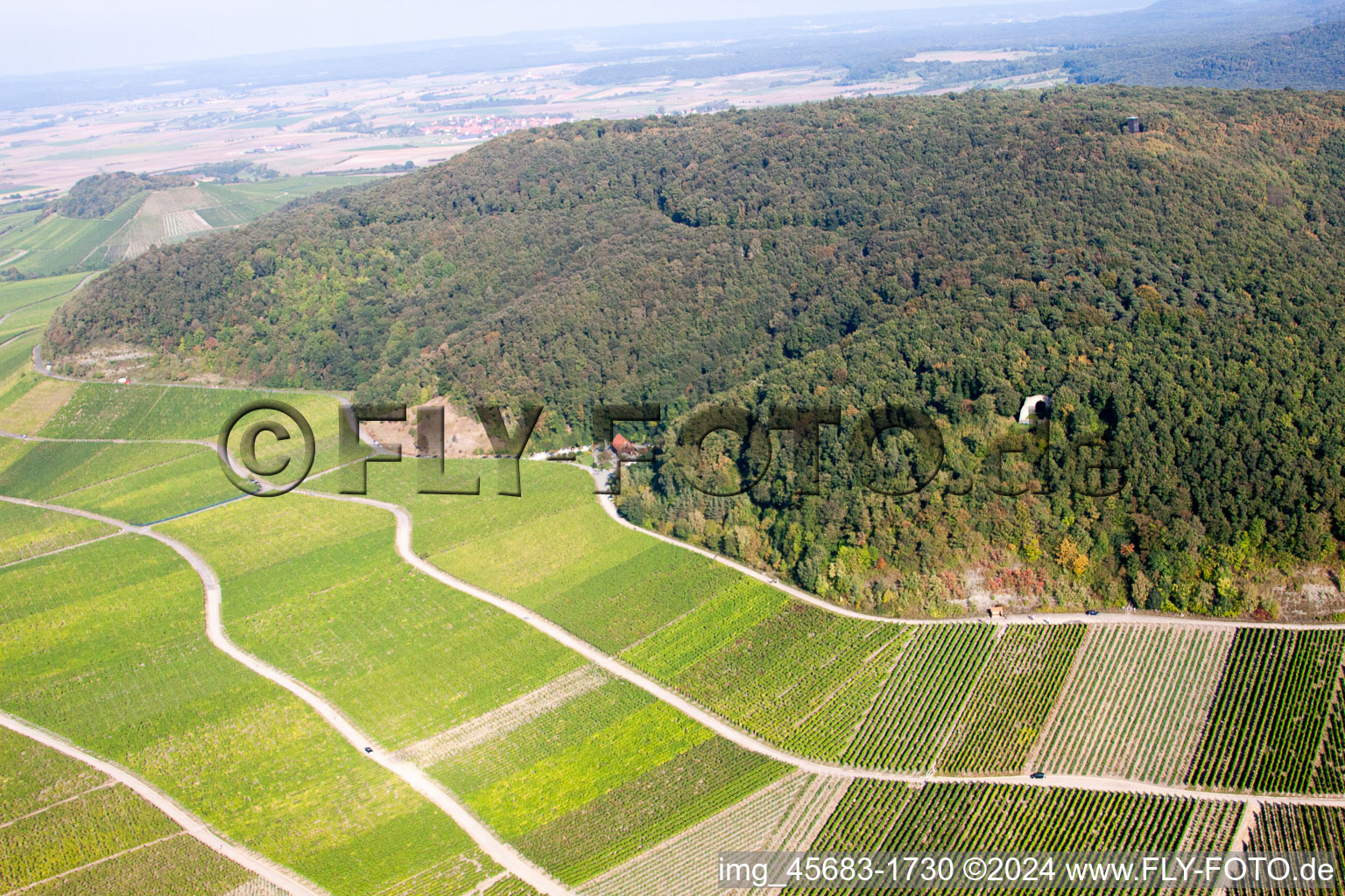 Vineyard paradise on the slope of Bullenheim mountain in the district Bullenheim in Ippesheim in the state Bavaria, Germany