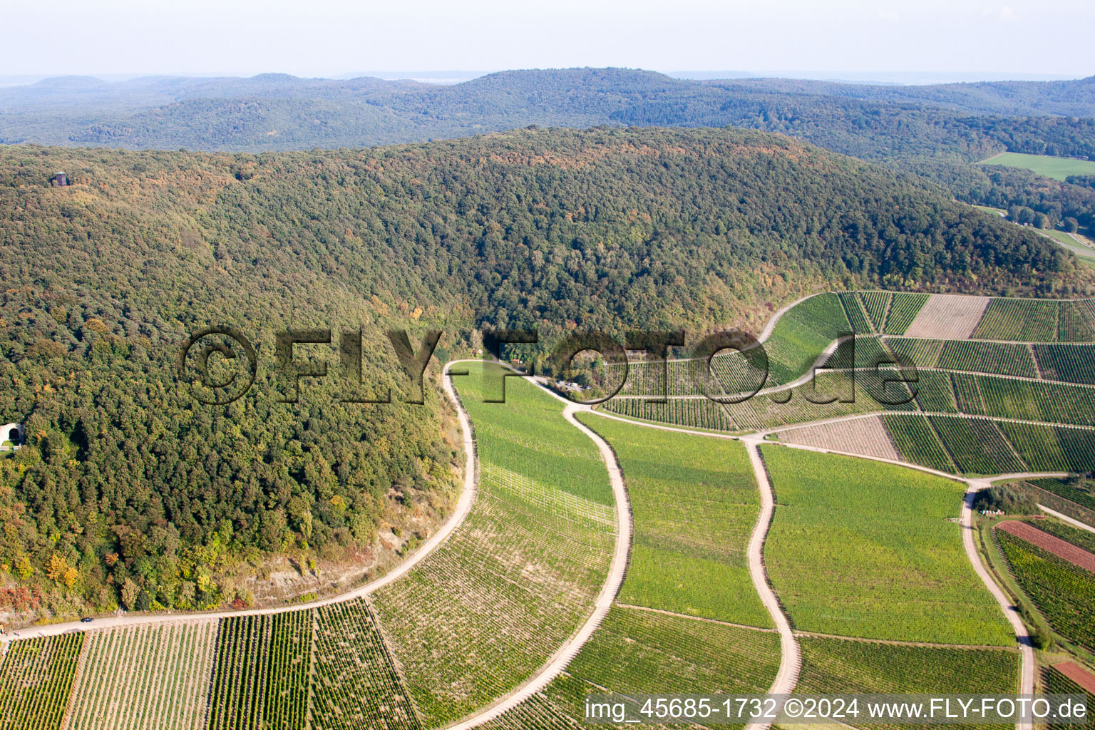 Aerial view of Vineyard paradise on the slope of Bullenheim mountain in the district Bullenheim in Ippesheim in the state Bavaria, Germany