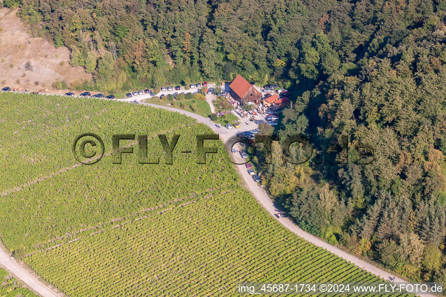 Wine Paradise Barn in the district Bullenheim in Ippesheim in the state Bavaria, Germany