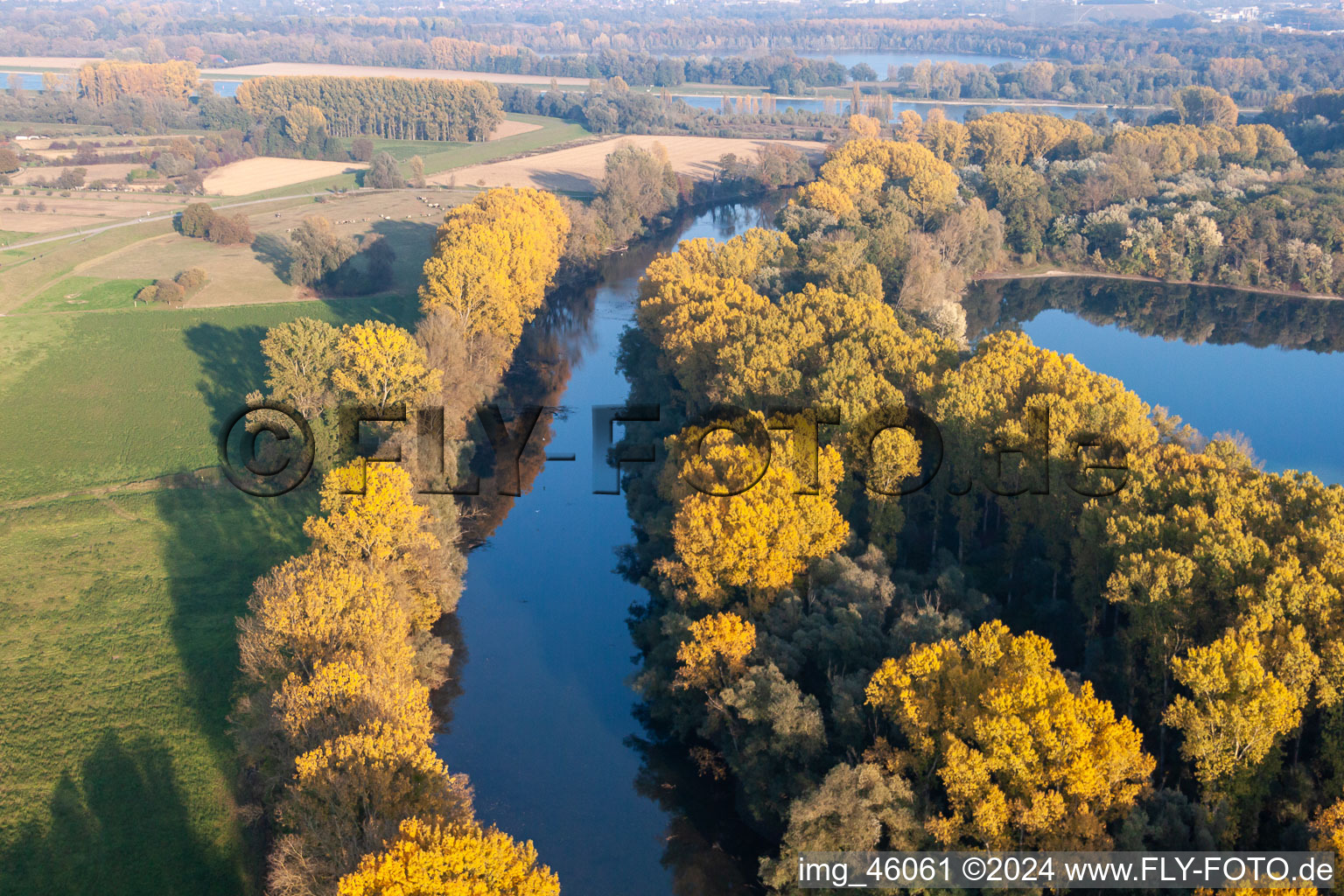 Hagenbach Old Rhine in the district Maximiliansau in Wörth am Rhein in the state Rhineland-Palatinate, Germany