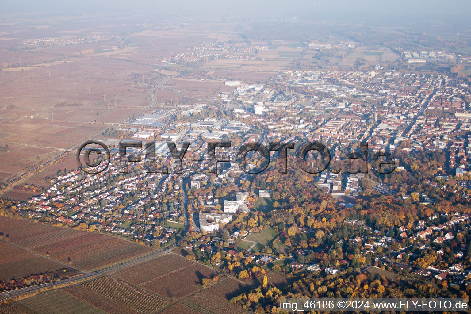 Landau in der Pfalz in the state Rhineland-Palatinate, Germany out of the air