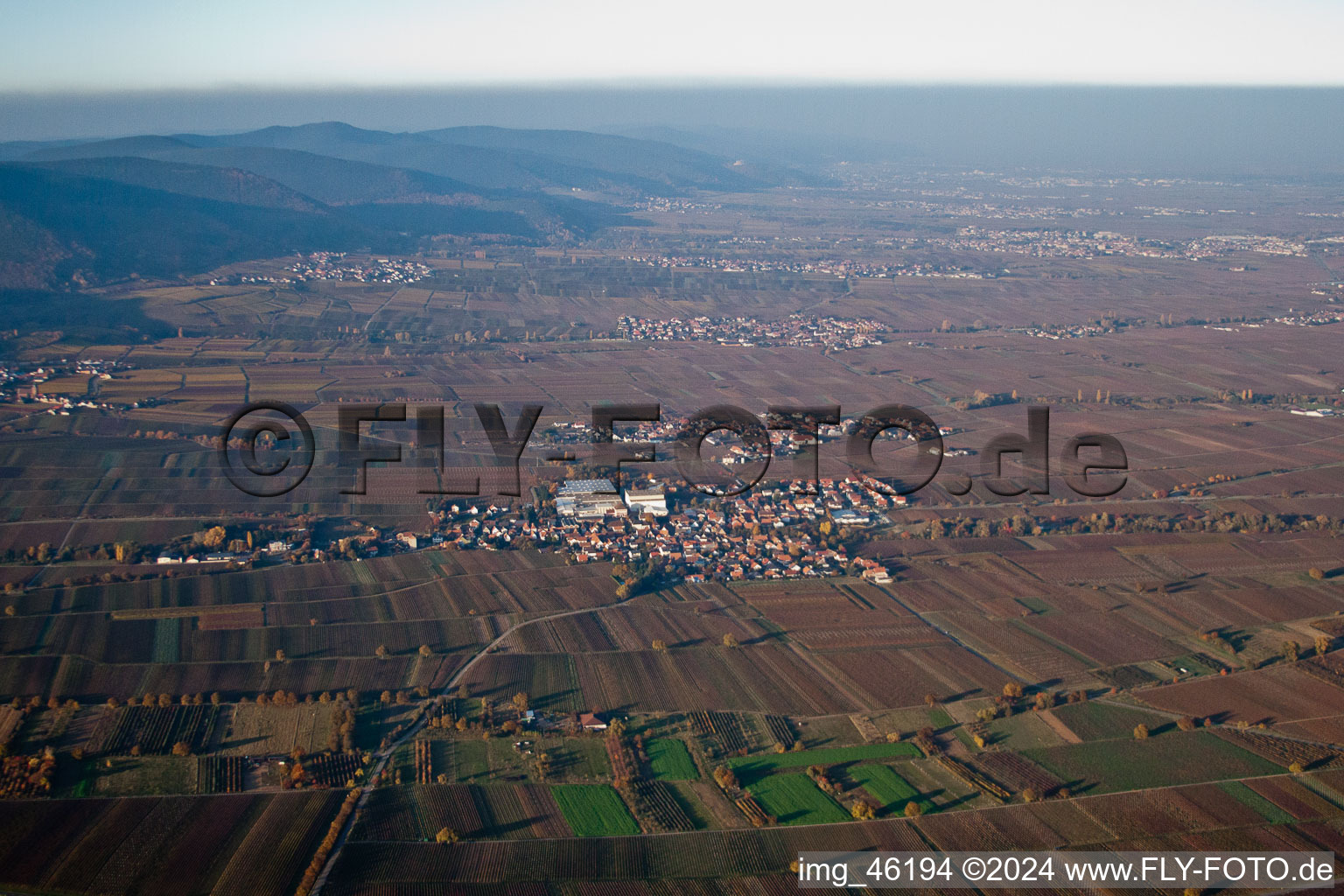 Böchingen in the state Rhineland-Palatinate, Germany from a drone