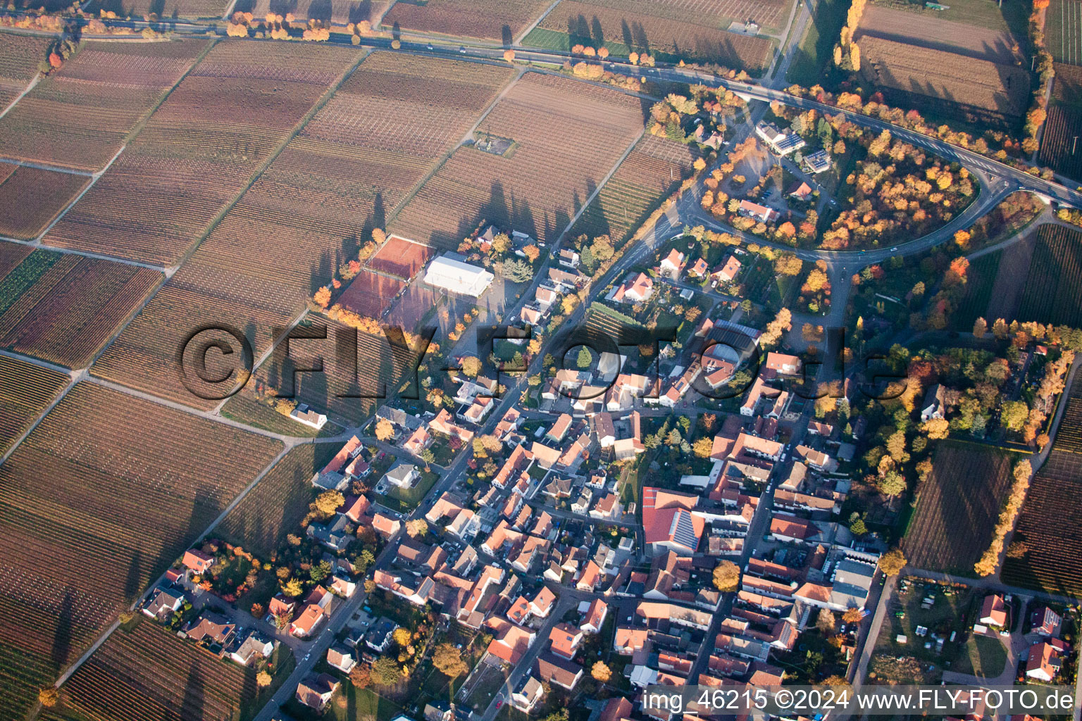 Walsheim in the state Rhineland-Palatinate, Germany from above