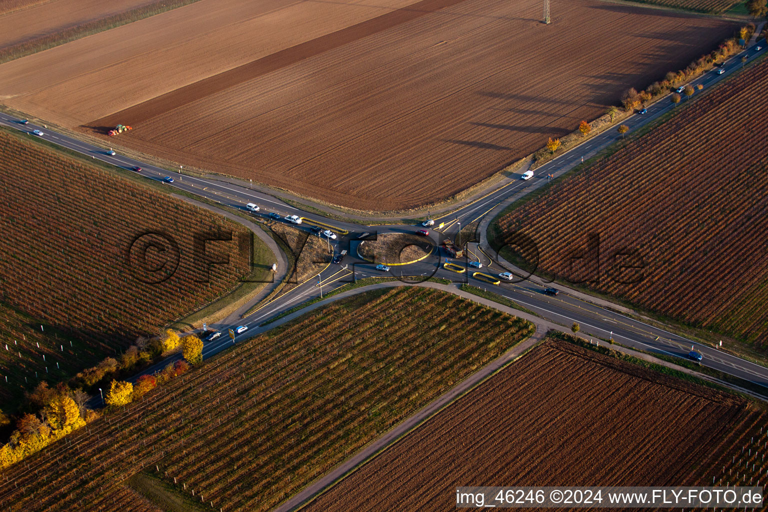 Aerial view of Essingen in the state Rhineland-Palatinate, Germany