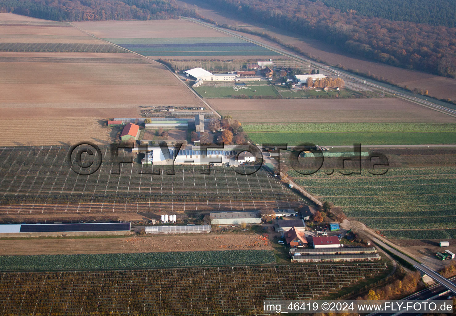 Adamshof in Kandel in the state Rhineland-Palatinate, Germany from the plane