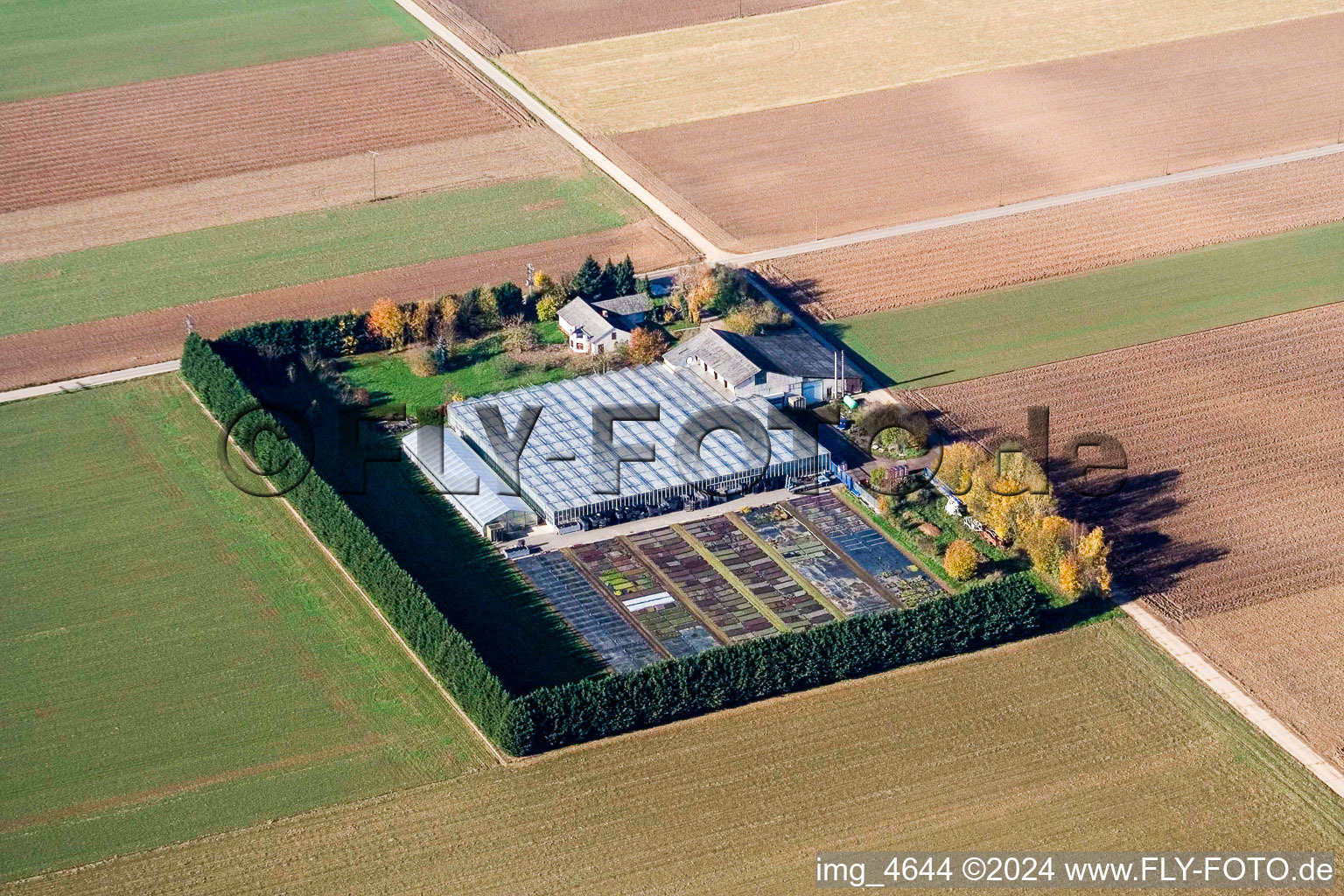 Aerial photograpy of Sudetenhof in Steinweiler in the state Rhineland-Palatinate, Germany