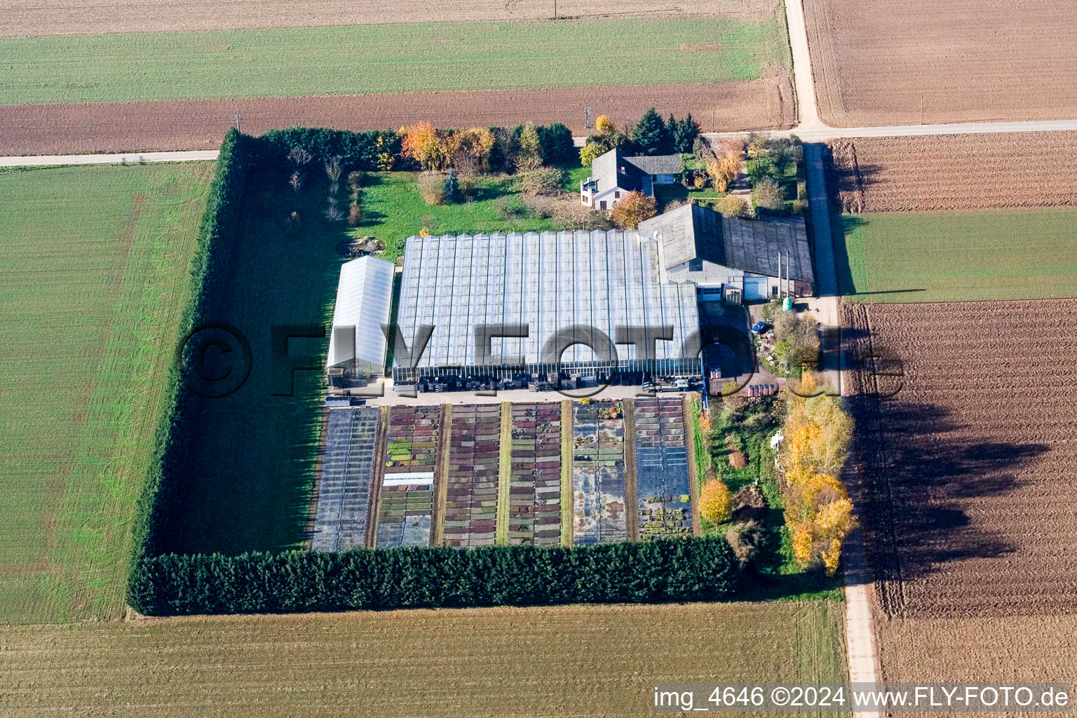 Oblique view of Sudetenhof in Steinweiler in the state Rhineland-Palatinate, Germany