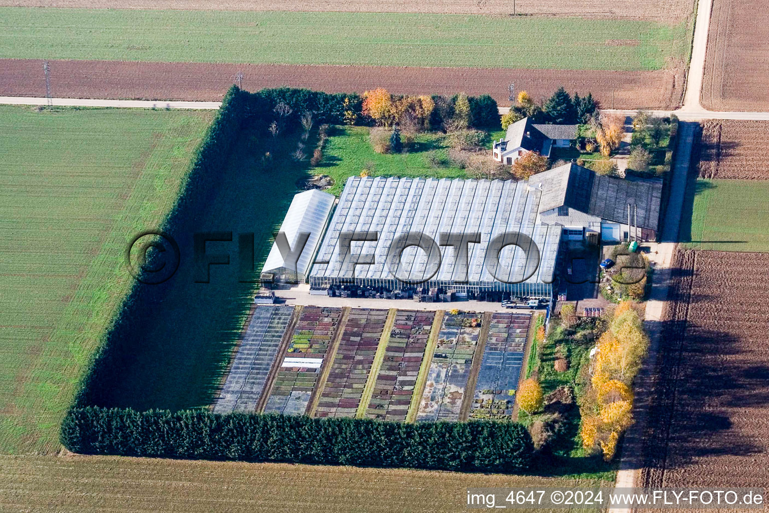 Sudetenhof in Steinweiler in the state Rhineland-Palatinate, Germany from above