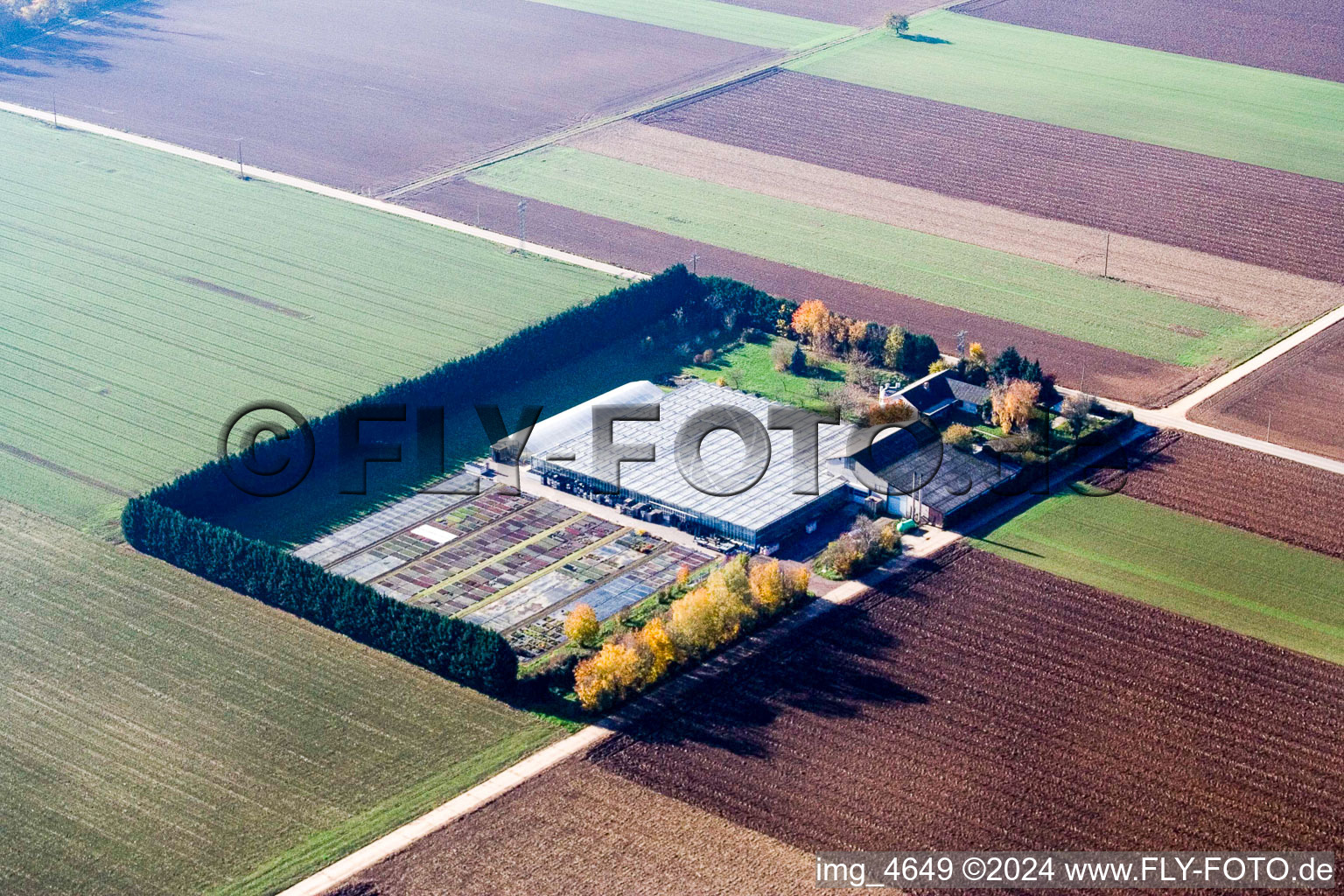 Bird's eye view of Sudetenhof in Steinweiler in the state Rhineland-Palatinate, Germany