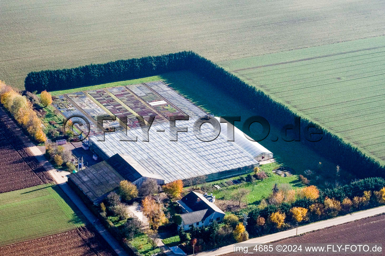 Drone recording of Sudetenhof in Steinweiler in the state Rhineland-Palatinate, Germany