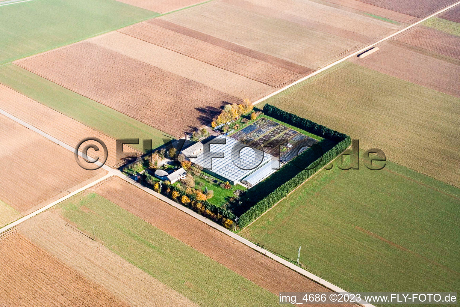 Drone image of Sudetenhof in Steinweiler in the state Rhineland-Palatinate, Germany