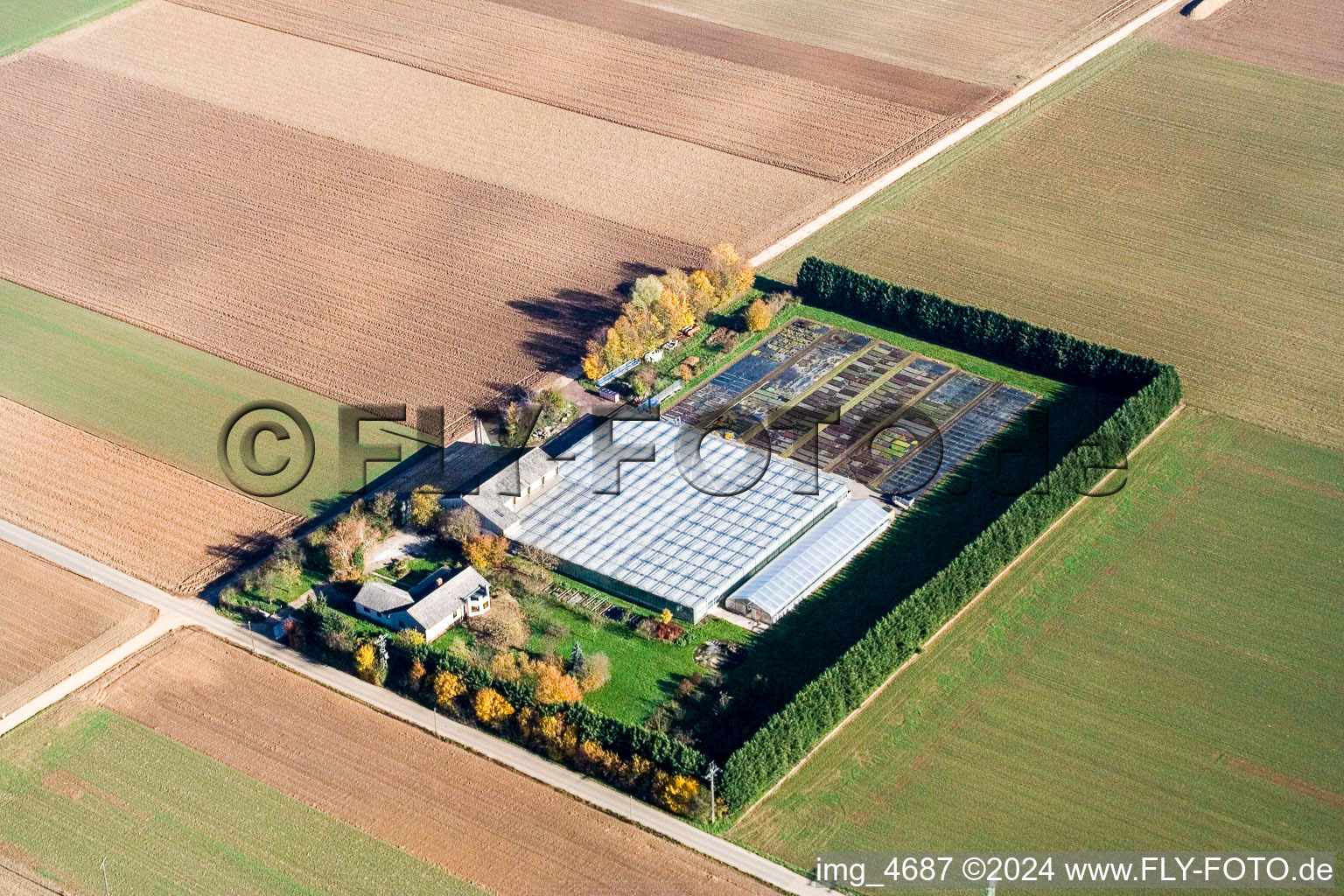 Sudetenhof in Steinweiler in the state Rhineland-Palatinate, Germany from the drone perspective