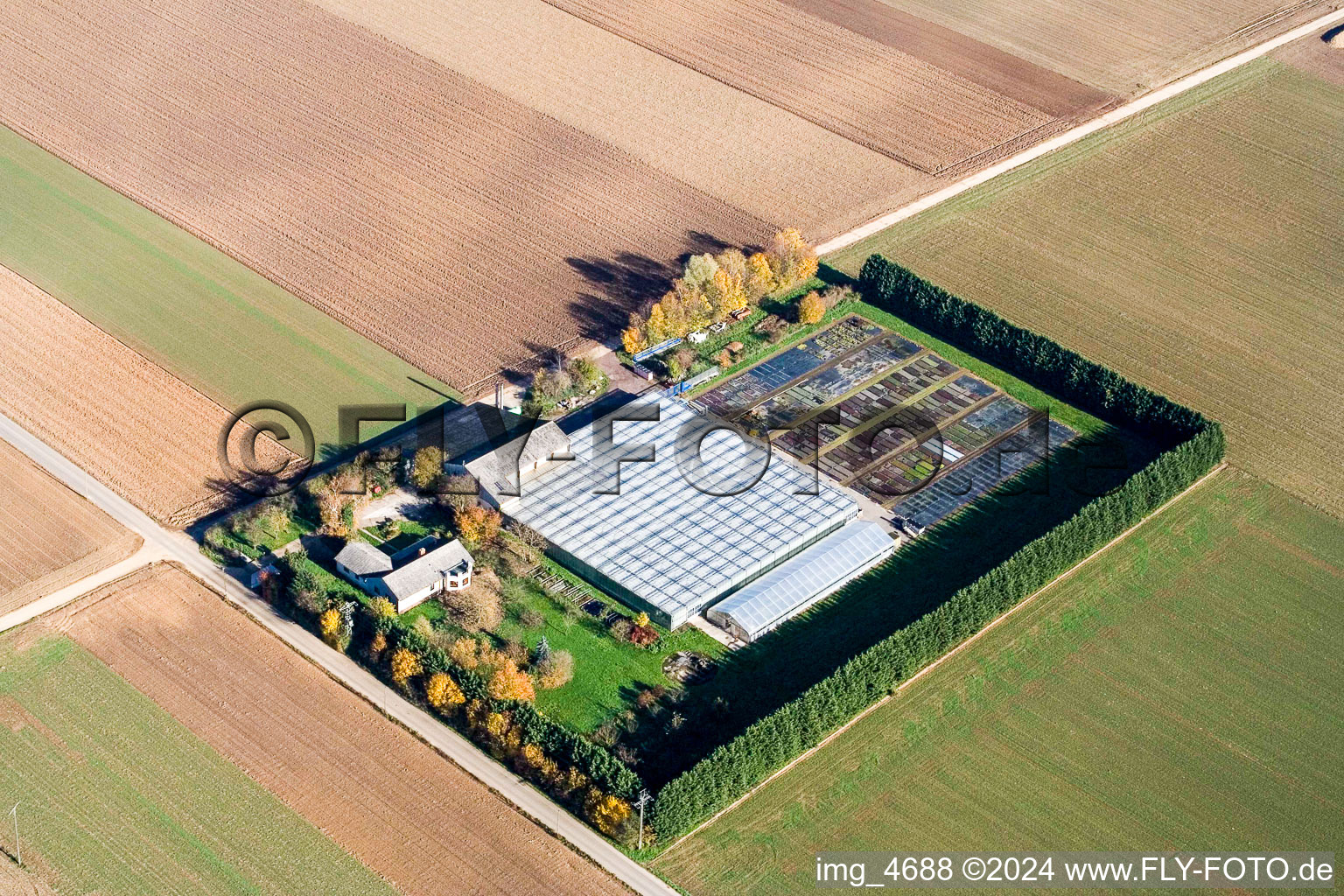 Sudetenhof in Steinweiler in the state Rhineland-Palatinate, Germany from a drone