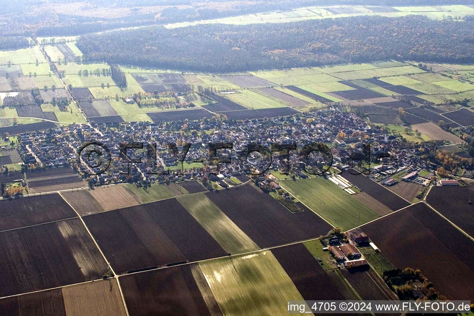 Village - view on the edge of agricultural fields and farmland in Minfeld in the state Rhineland-Palatinate from above