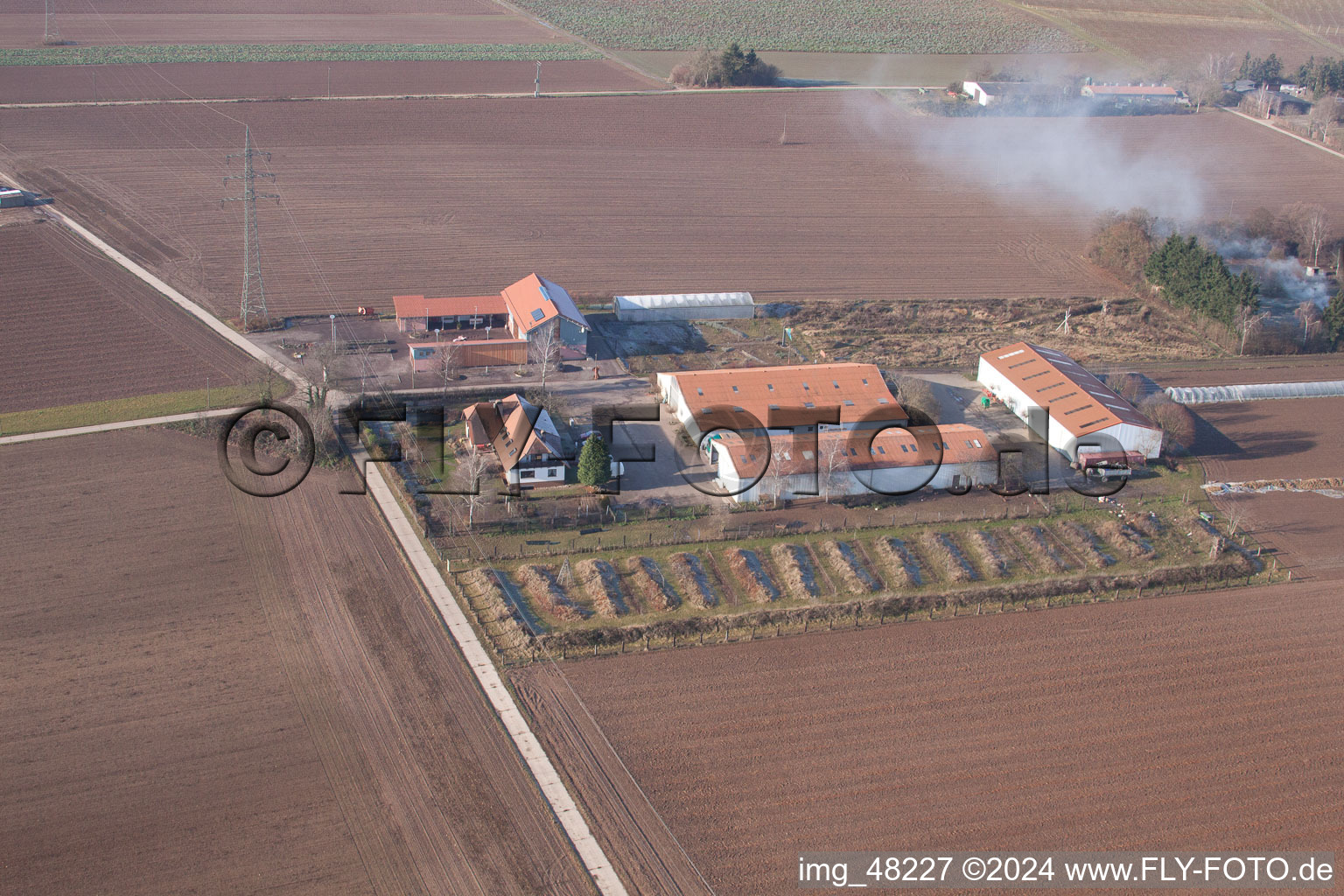 Minfeld in the state Rhineland-Palatinate, Germany from above