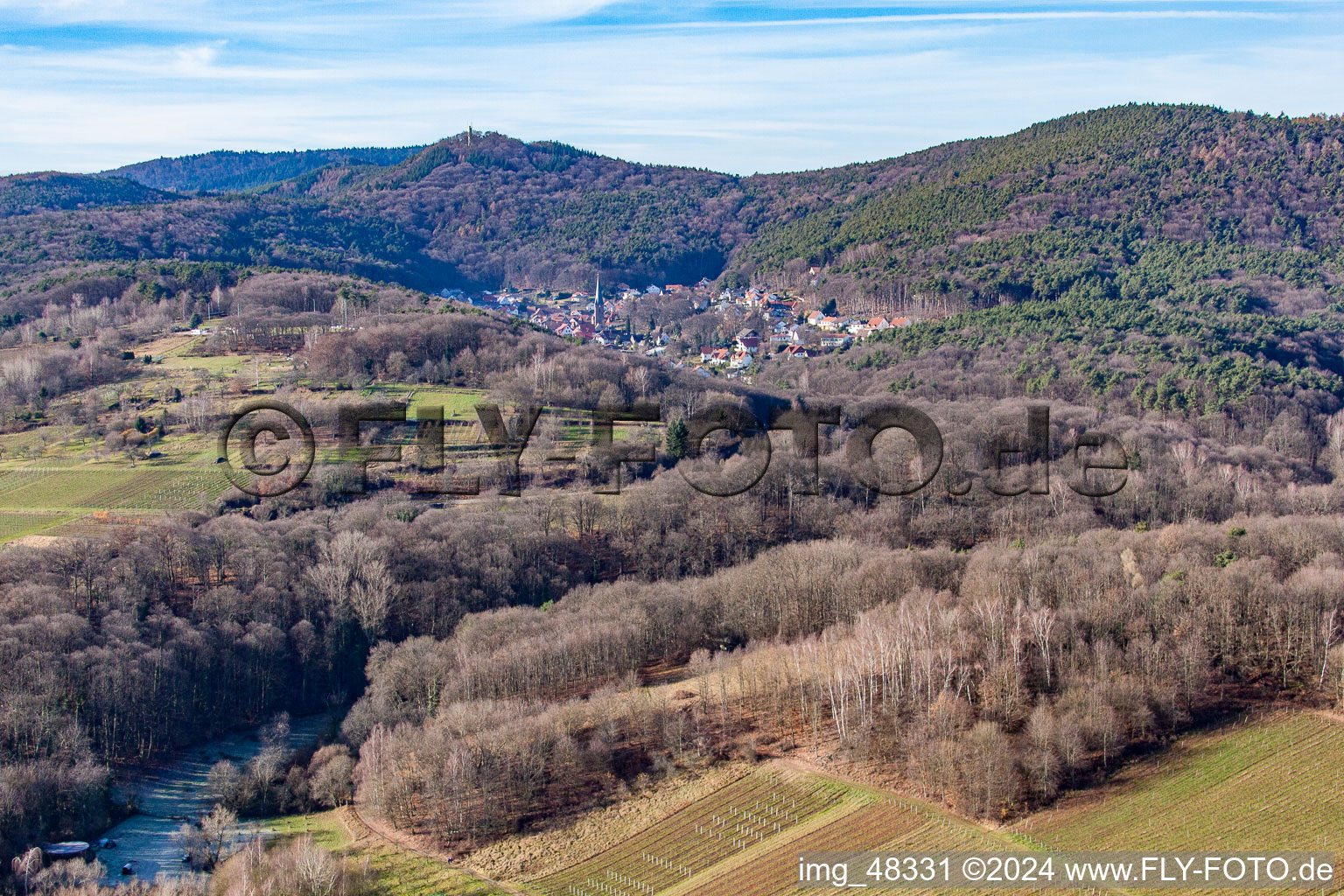 Dörrenbach in the state Rhineland-Palatinate, Germany seen from above