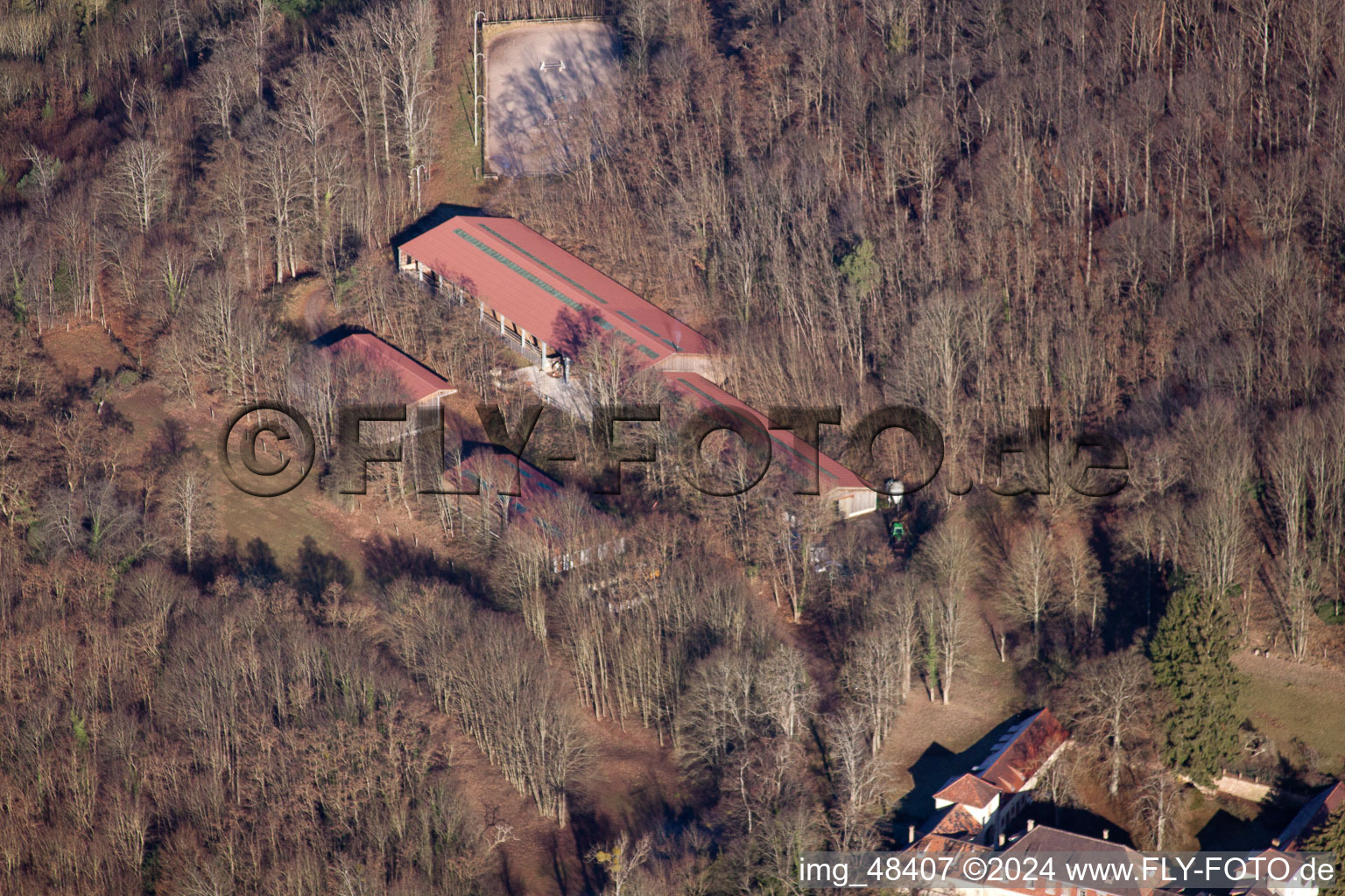 Oblique view of Chateau Langenberg in Weiler in the state Bas-Rhin, France