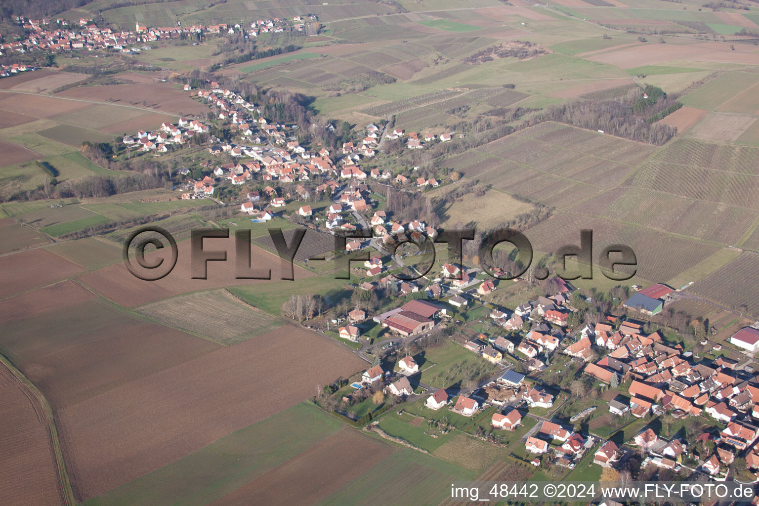 Steinseltz in the state Bas-Rhin, France from a drone