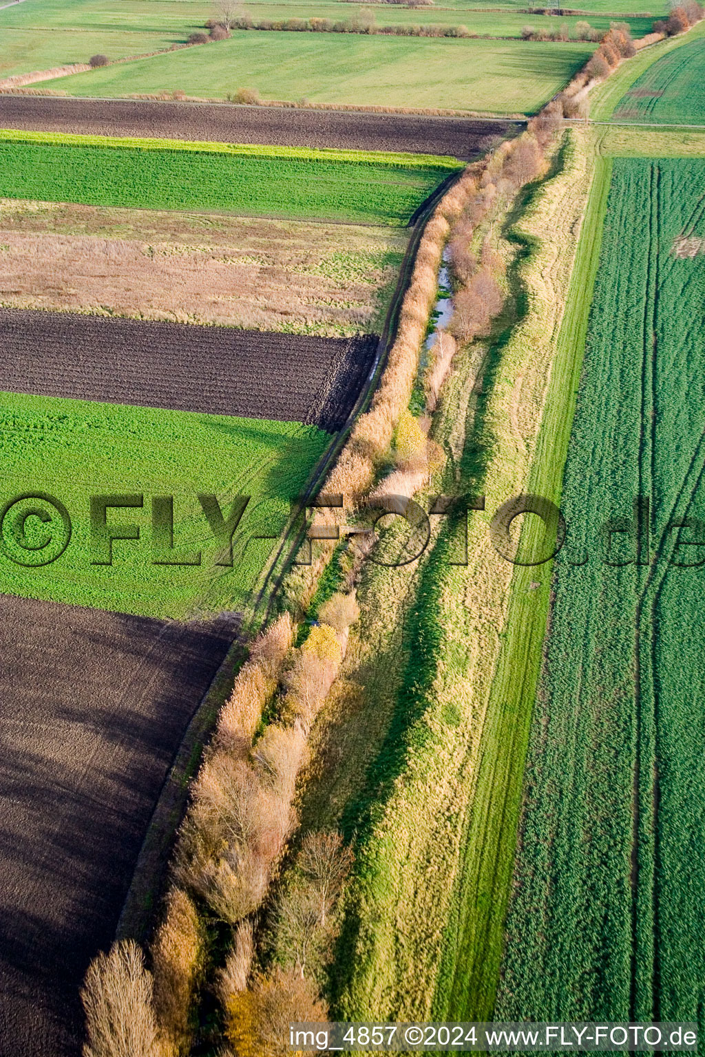 In the north of in Altlußheim in the state Baden-Wuerttemberg, Germany