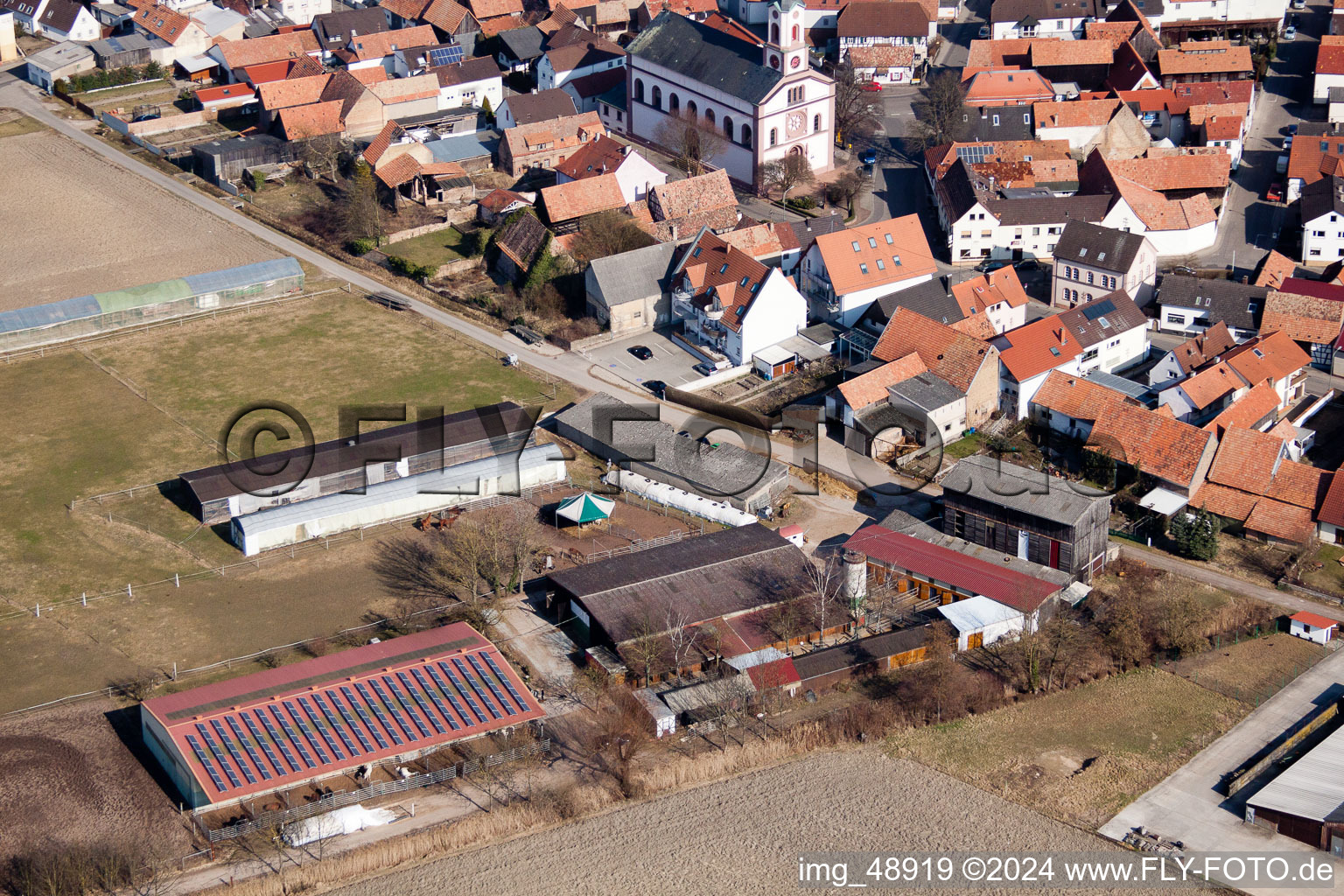 Bird's eye view of Neupotz in the state Rhineland-Palatinate, Germany