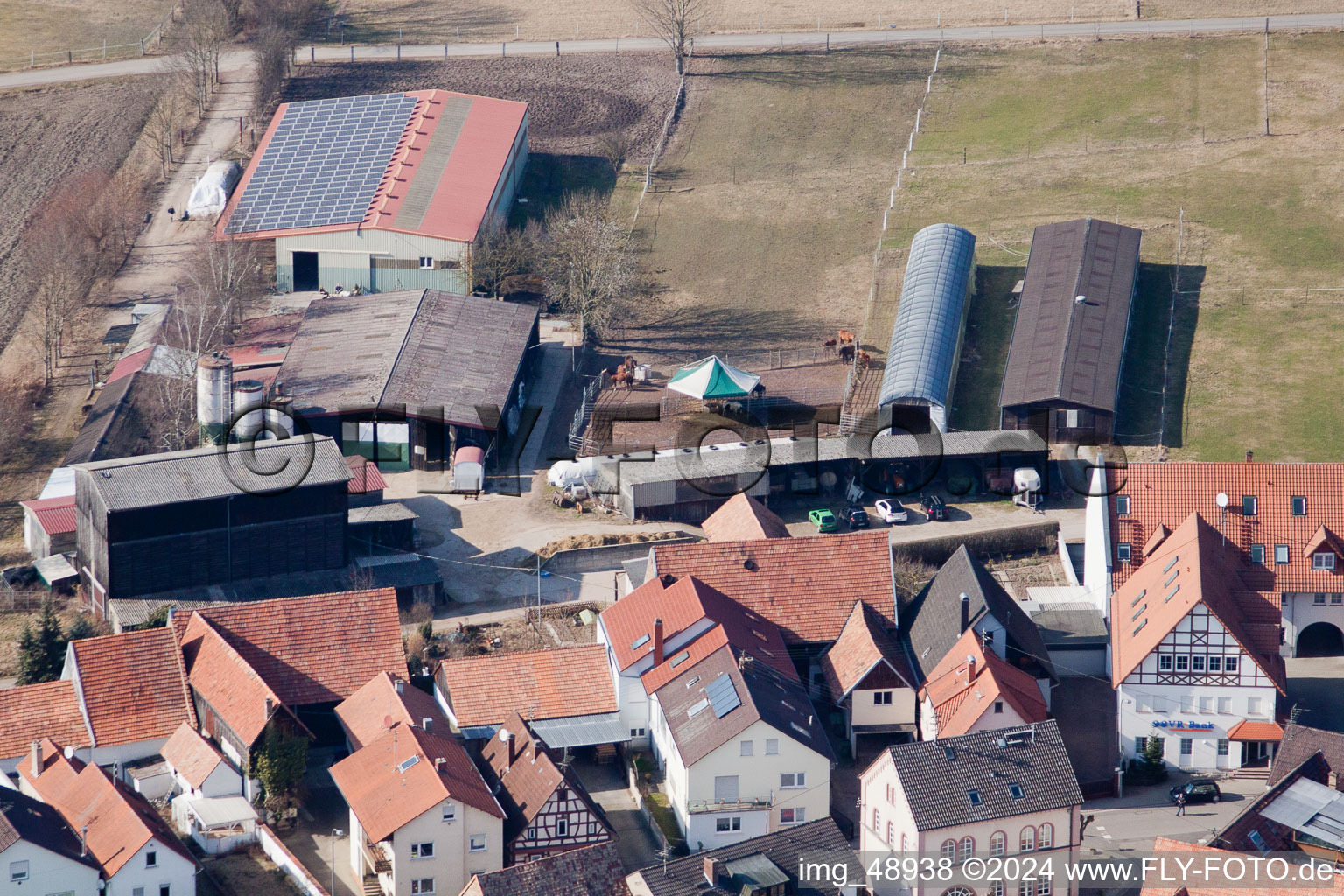 Drone image of Neupotz in the state Rhineland-Palatinate, Germany