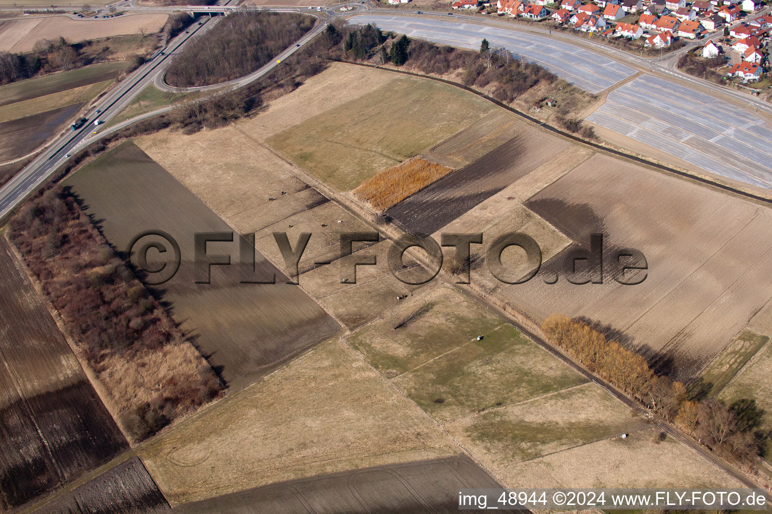 Aerial view of Neupotz in the state Rhineland-Palatinate, Germany