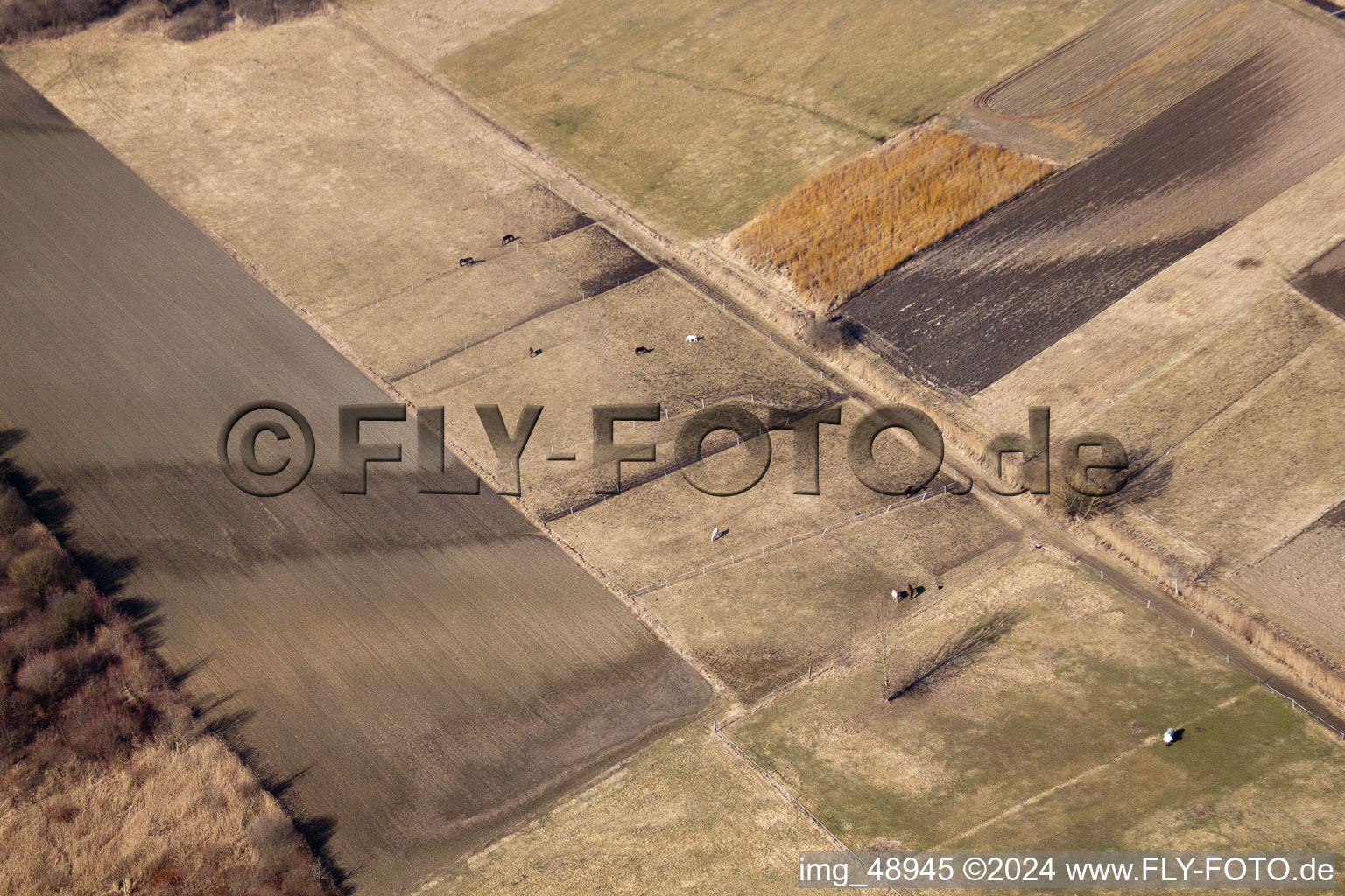 Aerial photograpy of Neupotz in the state Rhineland-Palatinate, Germany