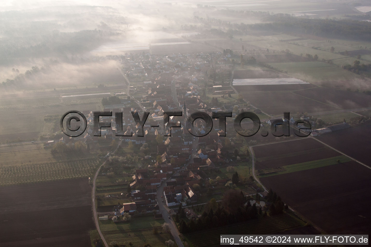 In the morning haze in Erlenbach bei Kandel in the state Rhineland-Palatinate, Germany