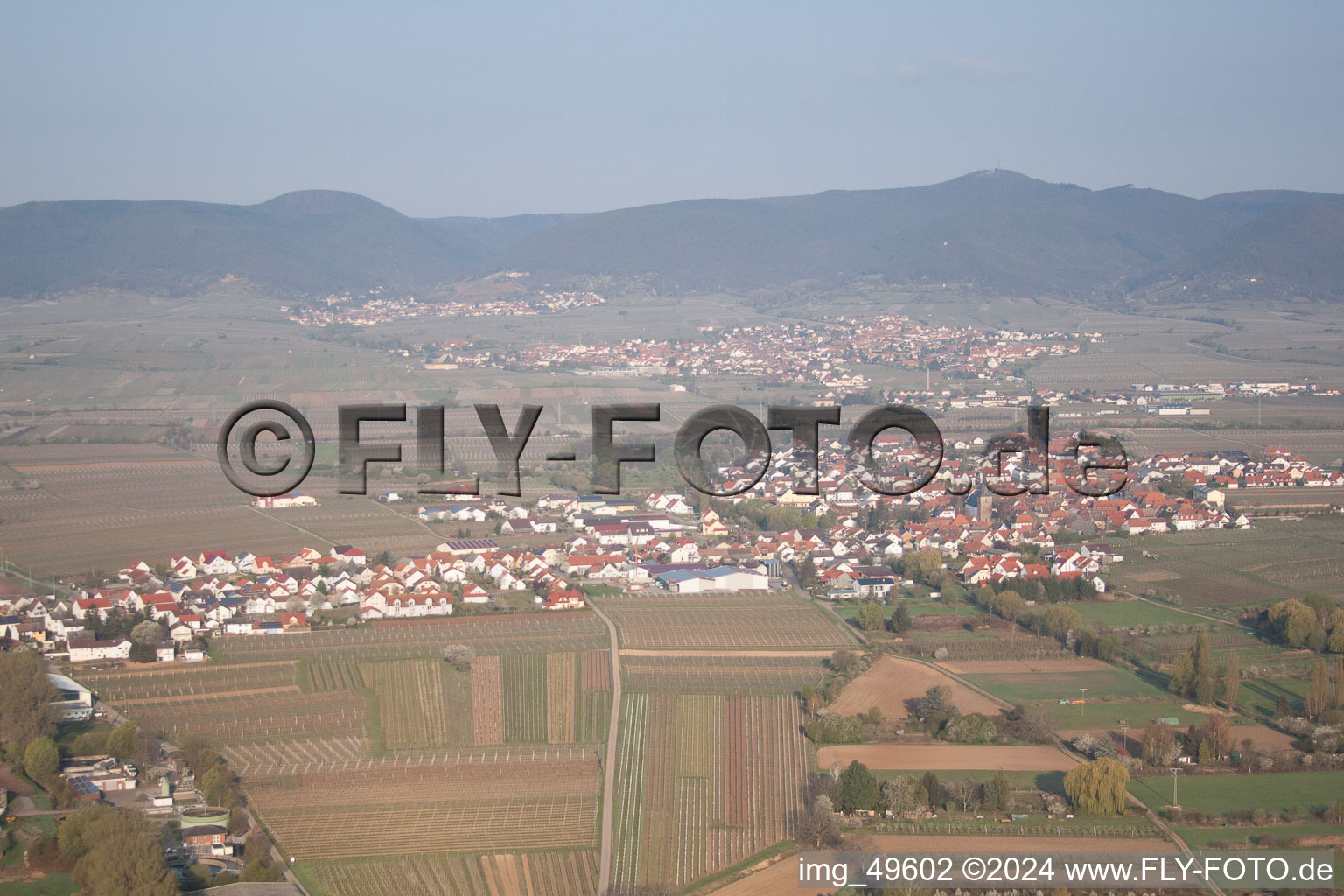 Aerial view of Kirrweiler in the state Rhineland-Palatinate, Germany