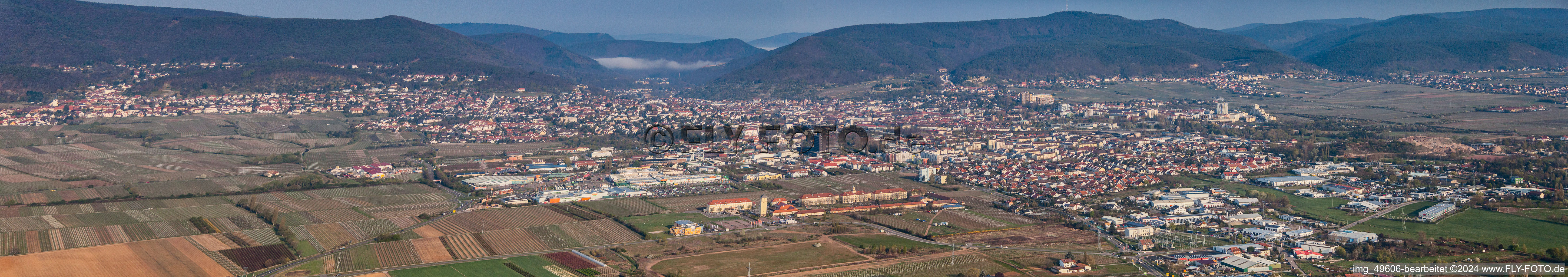 Oblique view of Panorama in Neustadt an der Weinstraße in the state Rhineland-Palatinate, Germany