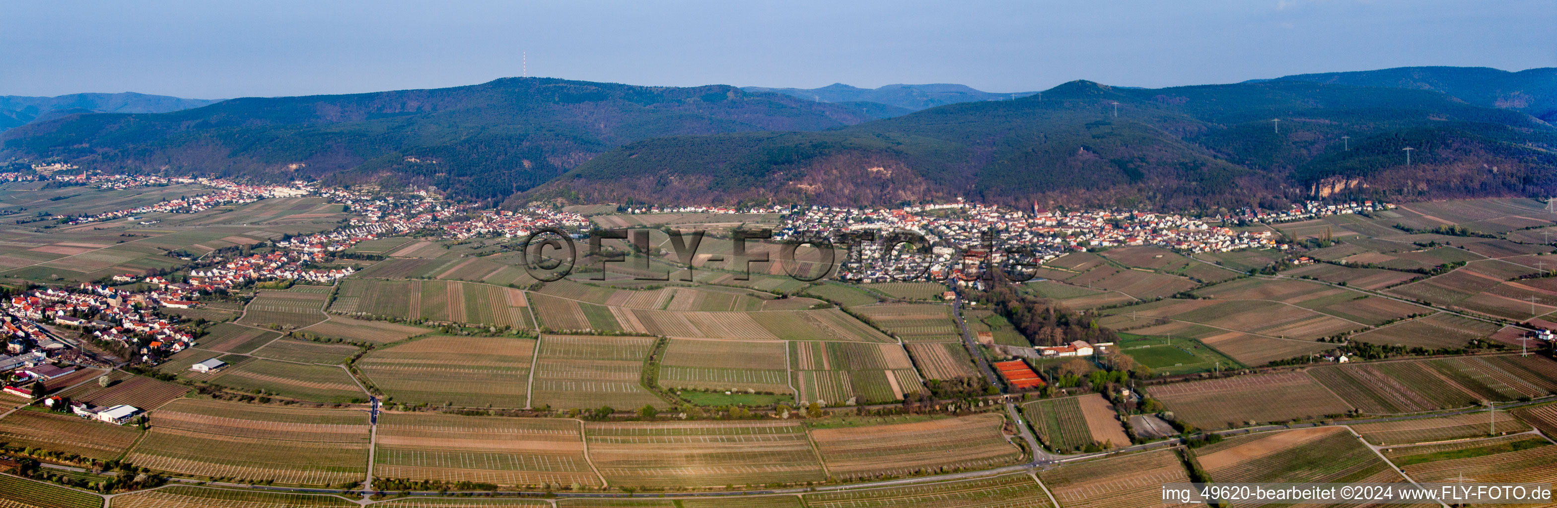 Panoramic perspective of Village - view on the edge of wine yards in the district Gimmeldingen in Neustadt an der Weinstrasse in the state Rhineland-Palatinate, Germany