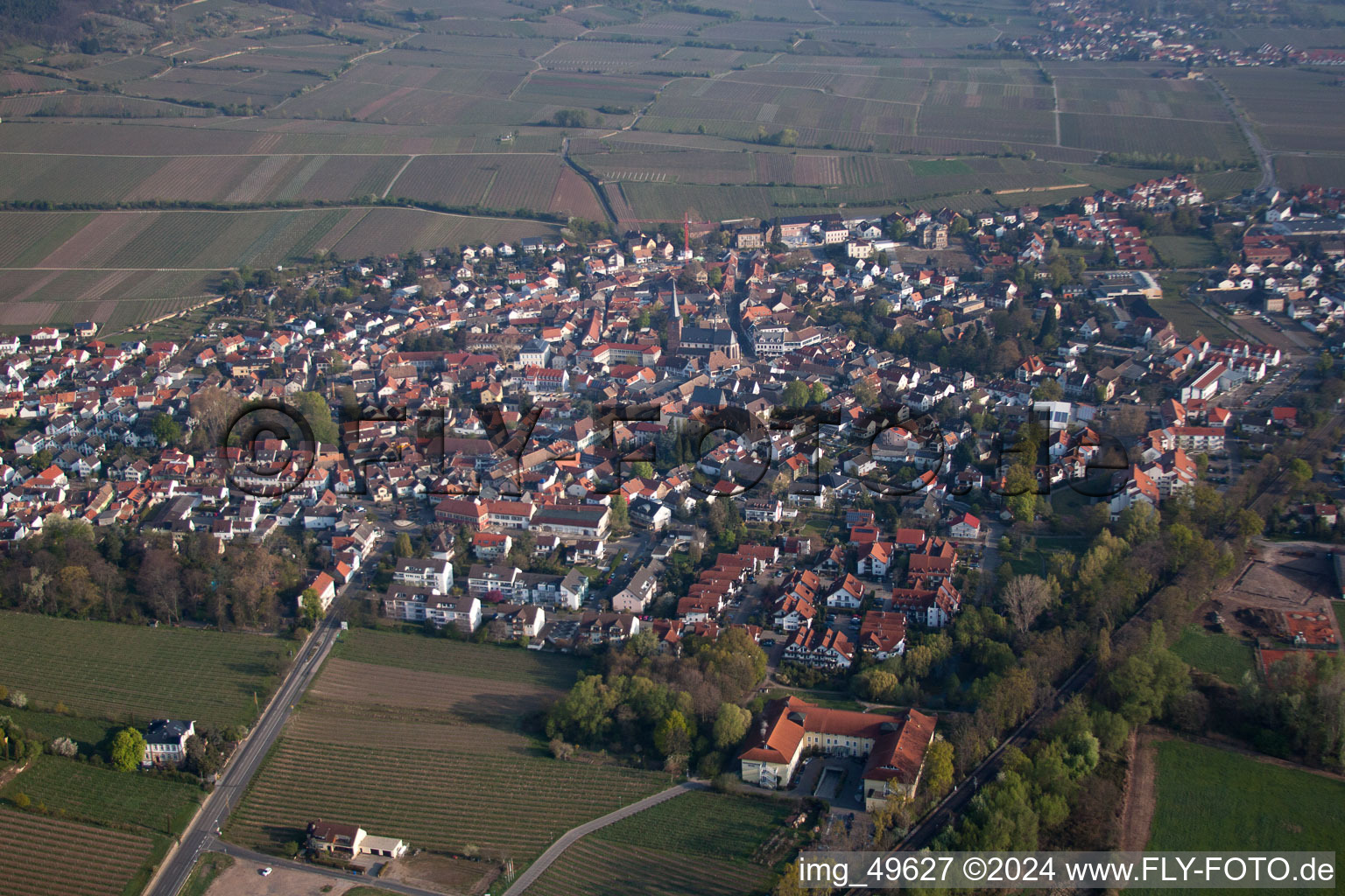 Deidesheim in the state Rhineland-Palatinate, Germany from a drone