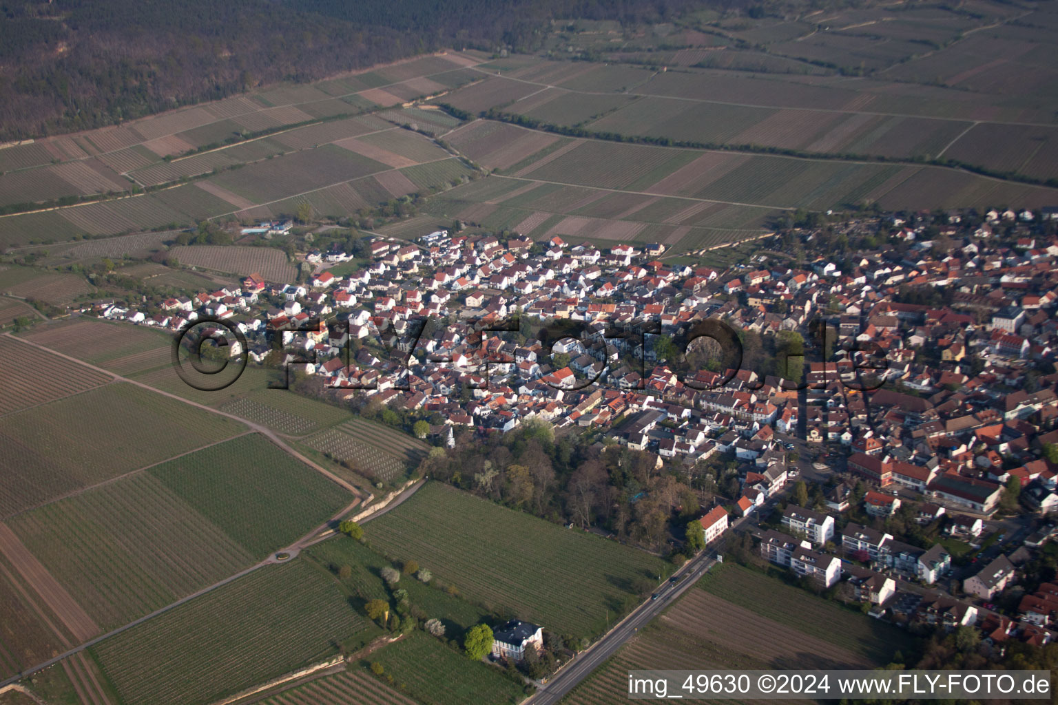 Aerial photograpy of Deidesheim in the state Rhineland-Palatinate, Germany